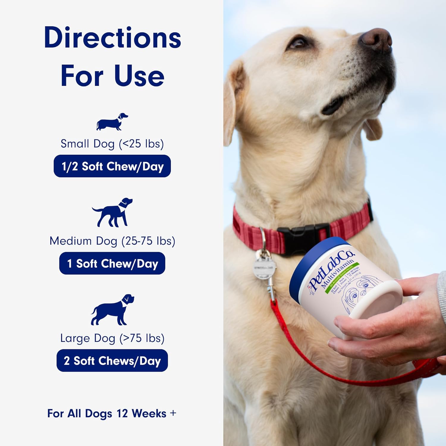 PetLab Co. 22 in 1 Dog Multivitamin - Boost Immune System, Skin, Coat, Joints & Health - Chewable Pork Flavored Supplement with Vitamins & Minerals