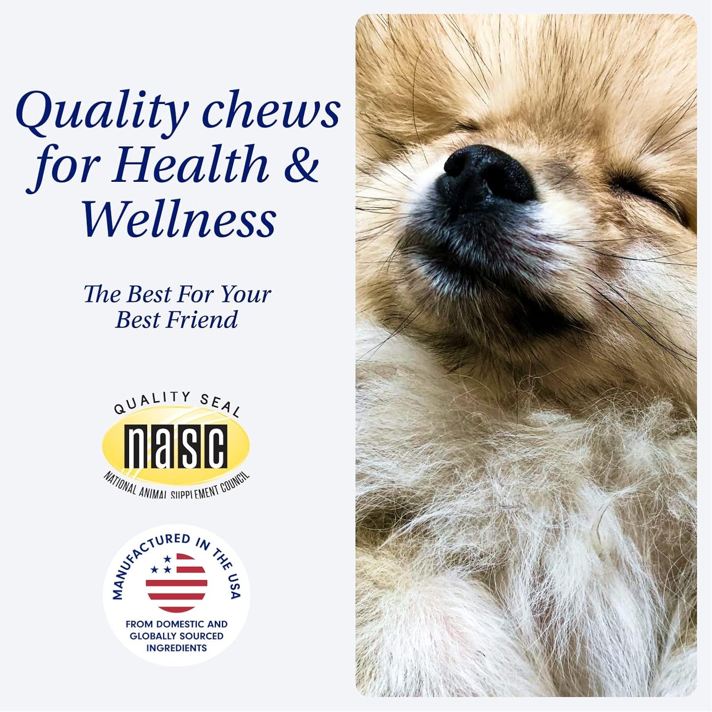 PetLab Co Allergy & Multivitamin Bundle: Daily Support for Dogs with Seasonal Allergies & Overall Health Boost