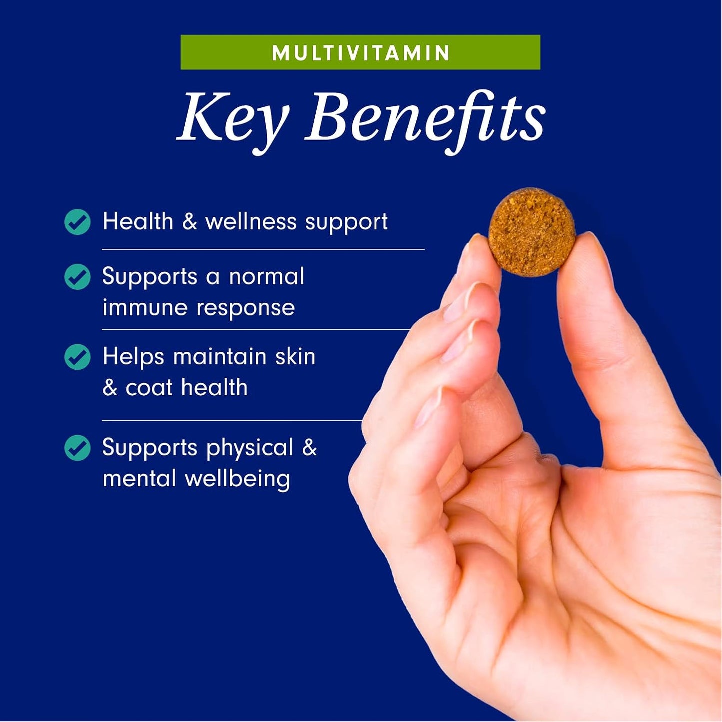 PetLab Co Allergy & Multivitamin Bundle: Daily Support for Dogs with Seasonal Allergies & Overall Health Boost