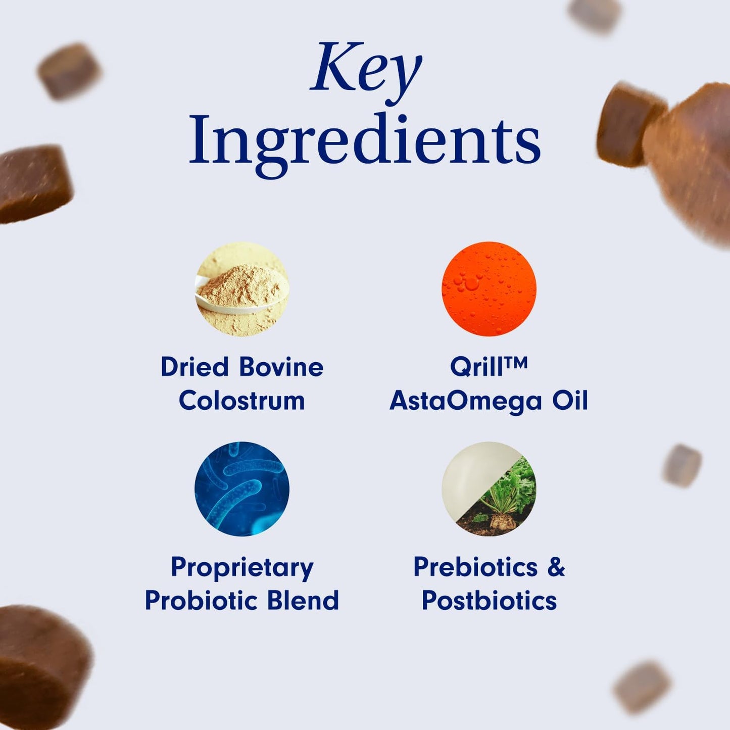 PetLab Co. Daily Probiotics for Dogs - Supports Immune System, Allergies, Itchiness - 30 Chews - Small, Medium, & Large Sizes