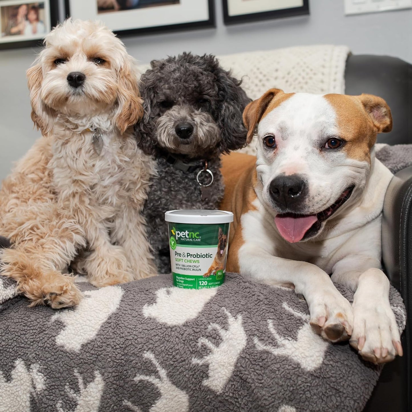 Petnc Natural Care Pre & Probiotics Chews (120 Count) for Digestive Health - Dog Supplement with 1 Billion CFUs & Prebiotic Inulin - Supports Dogs 12 Weeks & Older - Liver Flavor