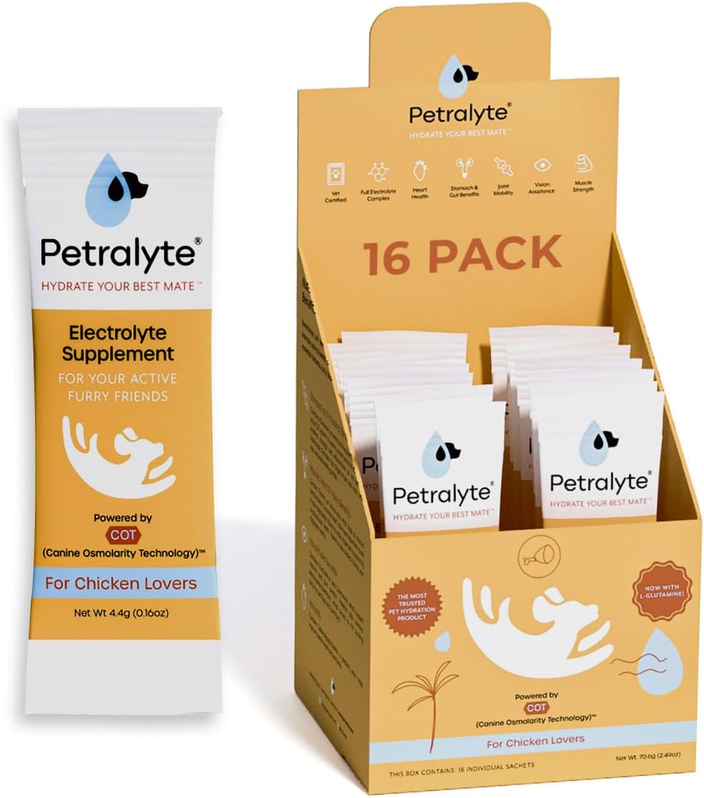 Petralyte Dog Electrolytes and Joint Supplement with Glucosamine, Chondroitin, and MSM for Inflammation and Mobility Support - 16 Packets