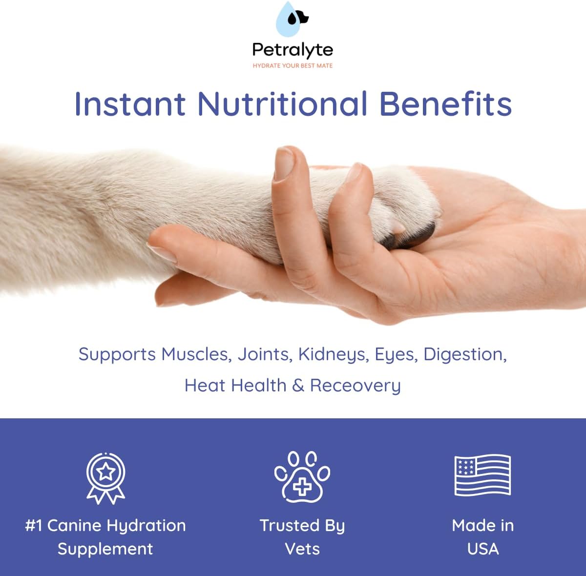 Petralyte Dog Electrolytes and Joint Supplement with Glucosamine, Chondroitin, and MSM for Inflammation and Mobility Support - 16 Packets