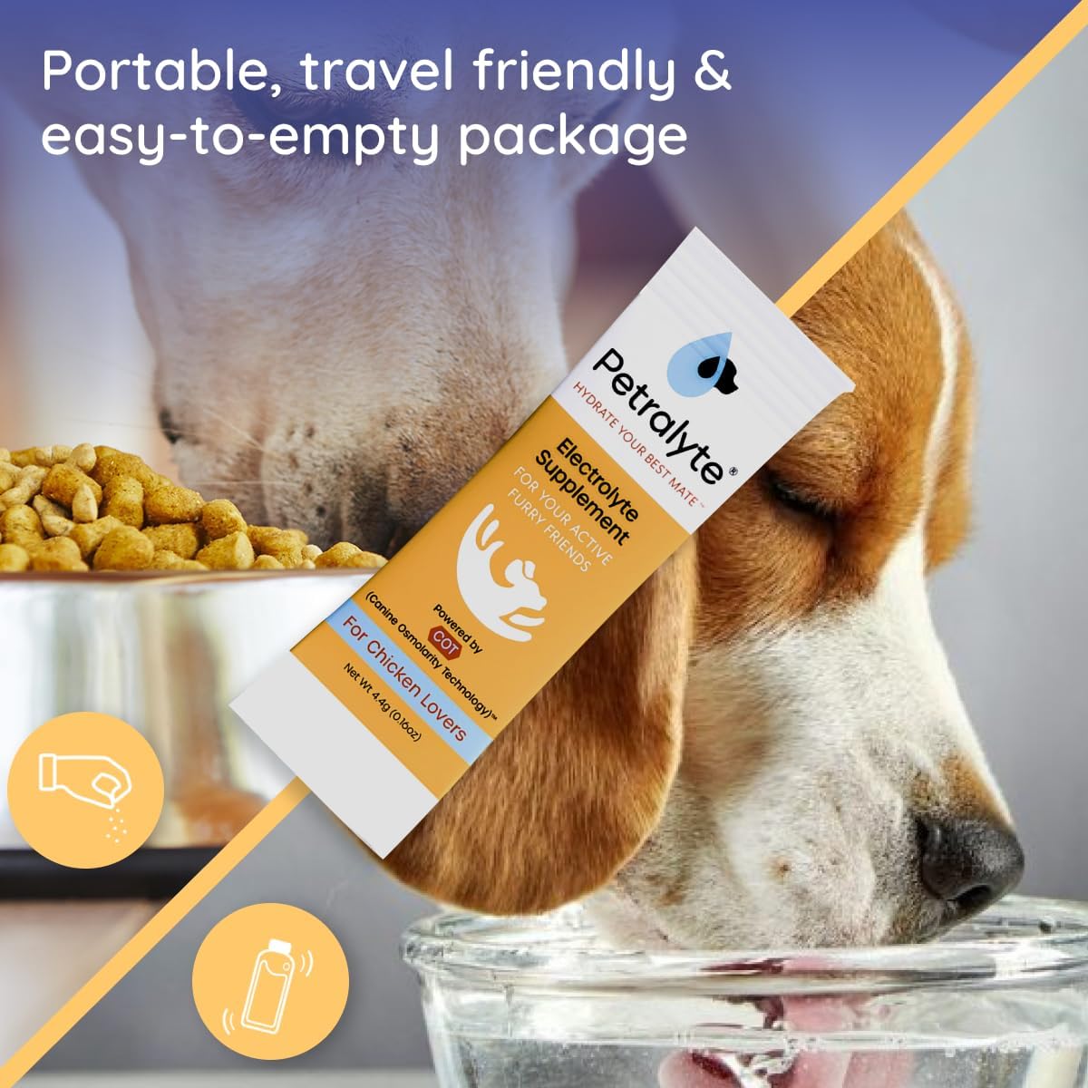 Petralyte Dog Electrolytes and Joint Supplement with Glucosamine, Chondroitin, and MSM for Inflammation and Mobility Support - 16 Packets