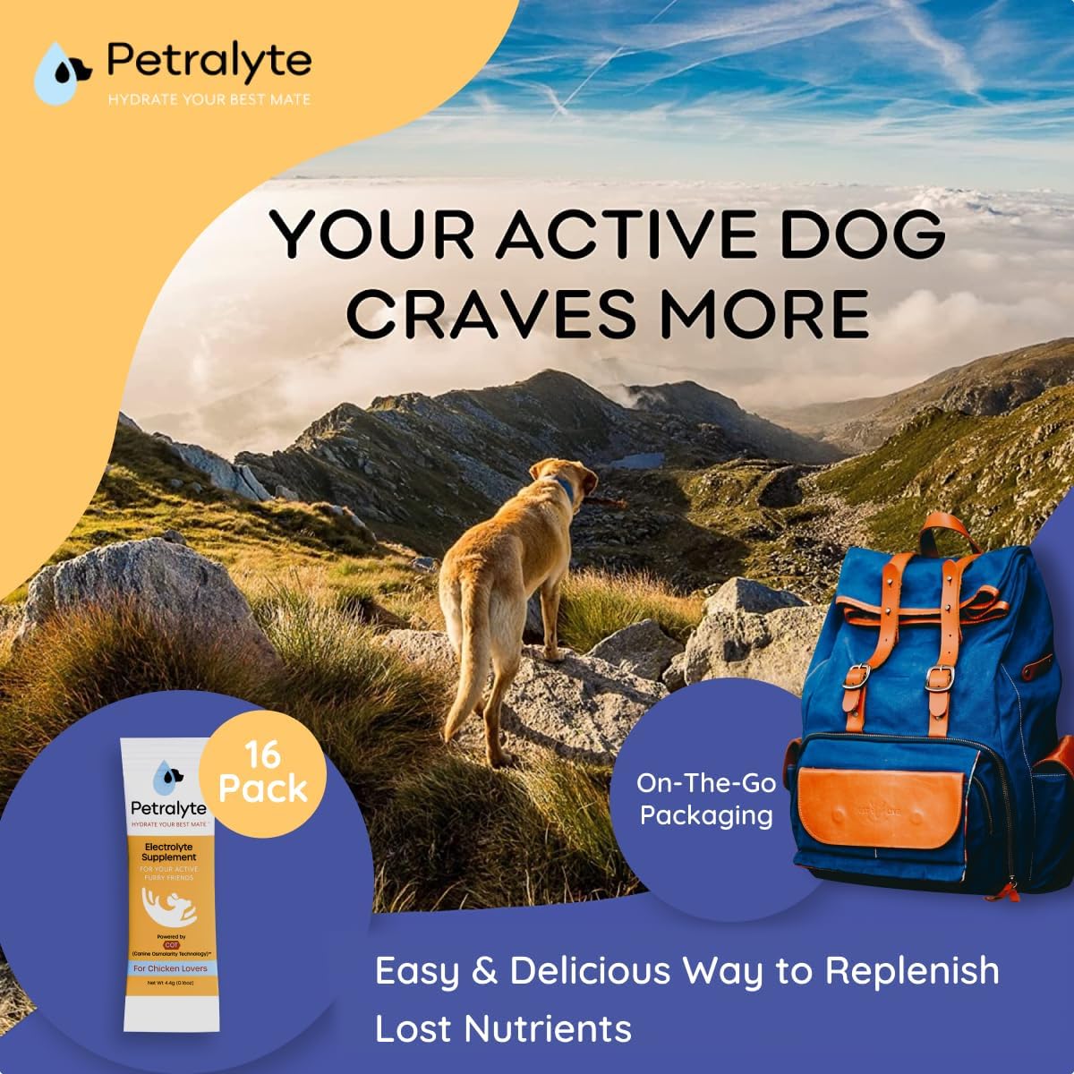 Petralyte Dog Electrolytes and Joint Supplement with Glucosamine, Chondroitin, and MSM for Inflammation and Mobility Support - 16 Packets
