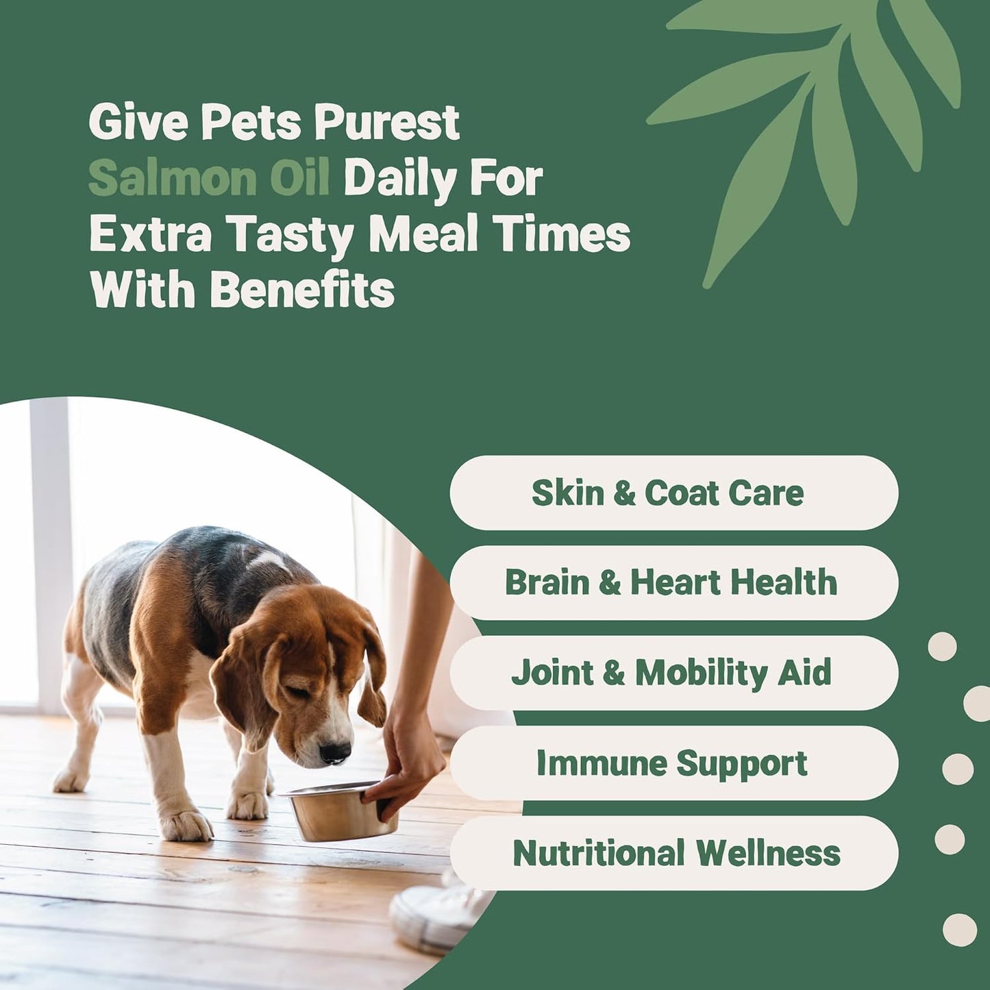 Pets Purest Salmon Oil - 32 Fl Oz - 100% Pure Premium Grade - Natural Omega 3, 6 & 9 Supplement for Dogs, Cats, Horses, Ferrets - Promotes Coat, Skin, Joint, and Brain Health