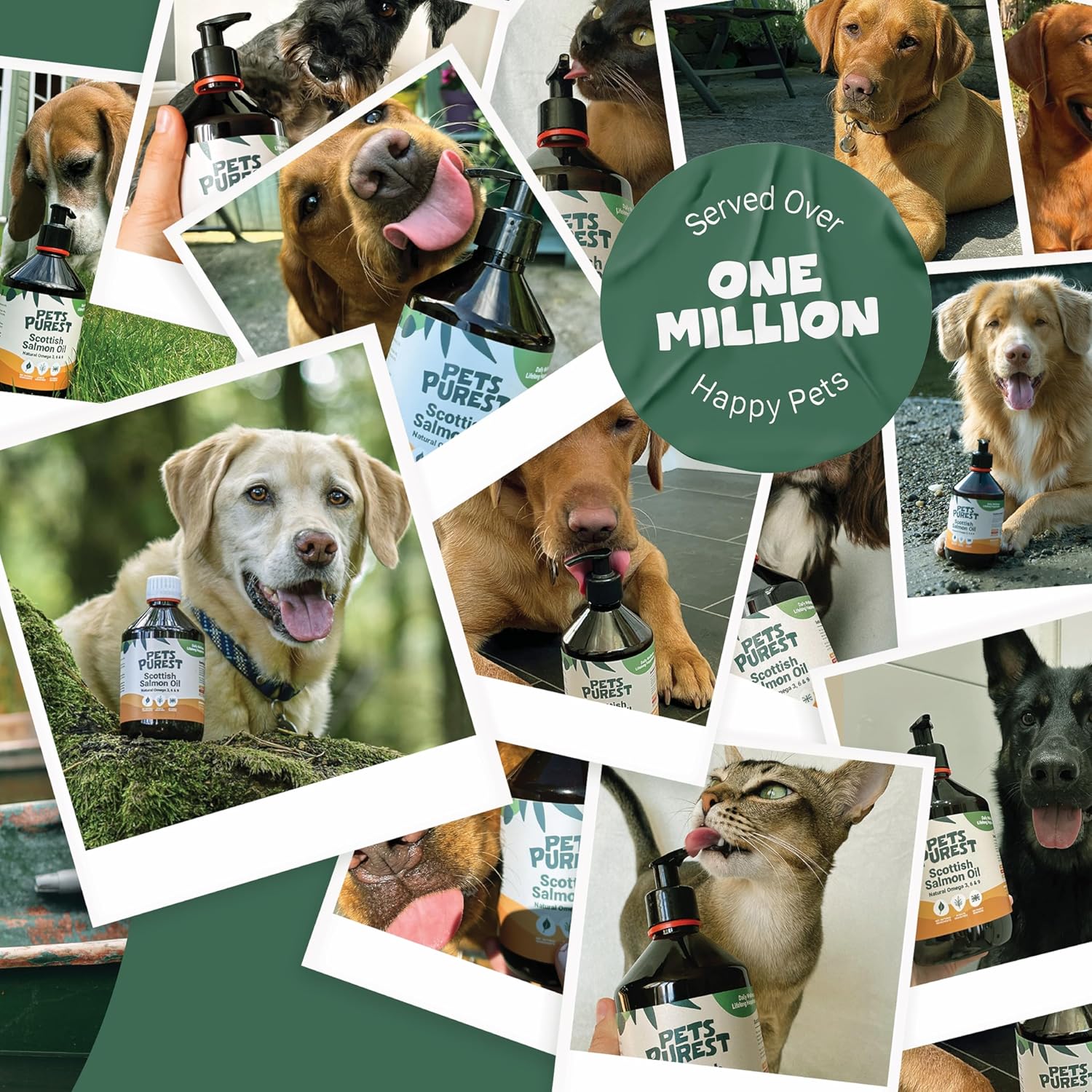 Pets Purest Salmon Oil - 32 Fl Oz - 100% Pure Premium Grade - Natural Omega 3, 6 & 9 Supplement for Dogs, Cats, Horses, Ferrets - Promotes Coat, Skin, Joint, and Brain Health