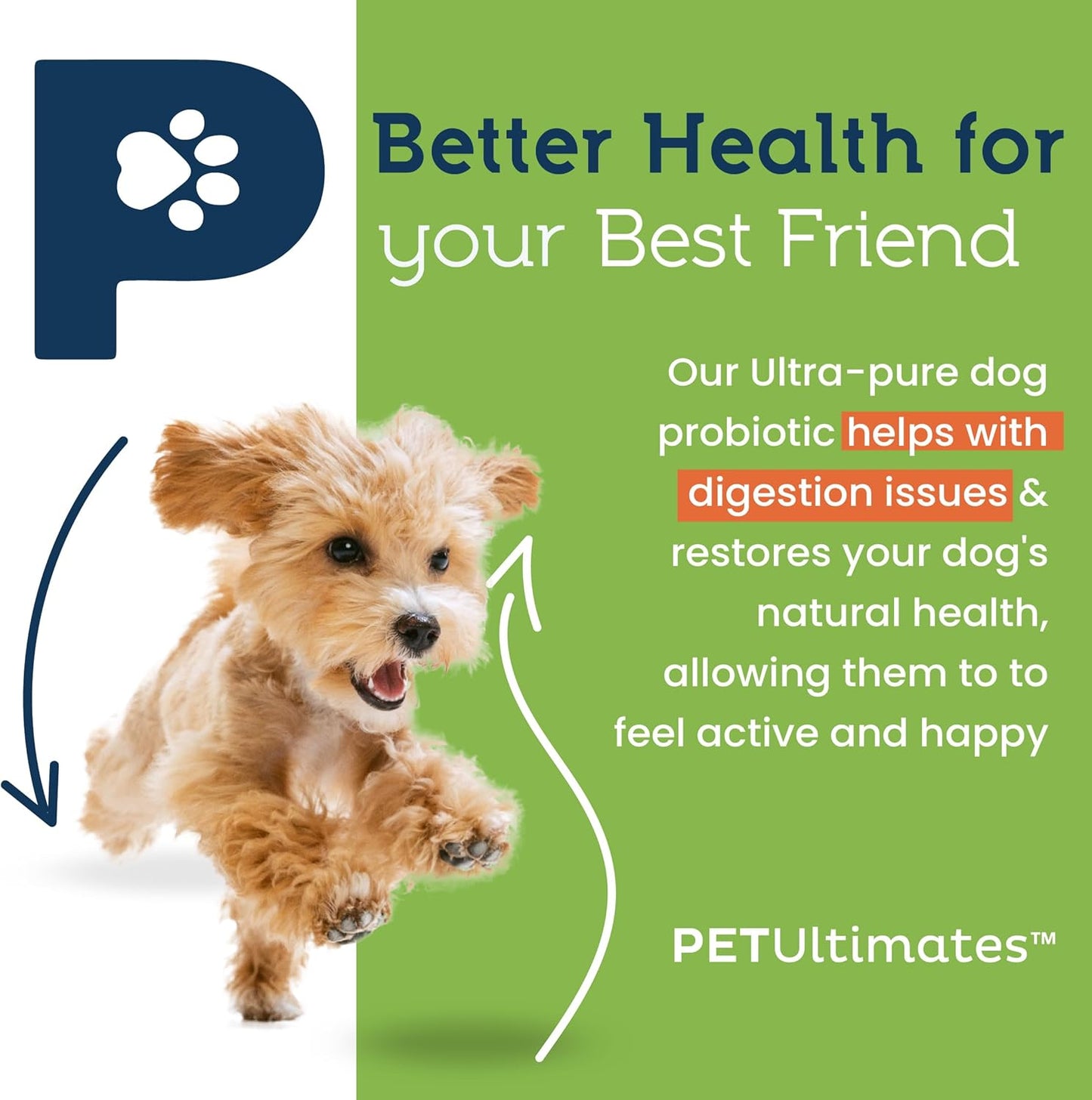 PetUltimates Probiotics for Dogs - 22 Species Dog Probiotics for Digestive Health & Antibiotic Recovery - Skin and Coat Supplement, Boosts Vitality - Dog Health Supplies (1 Pack)