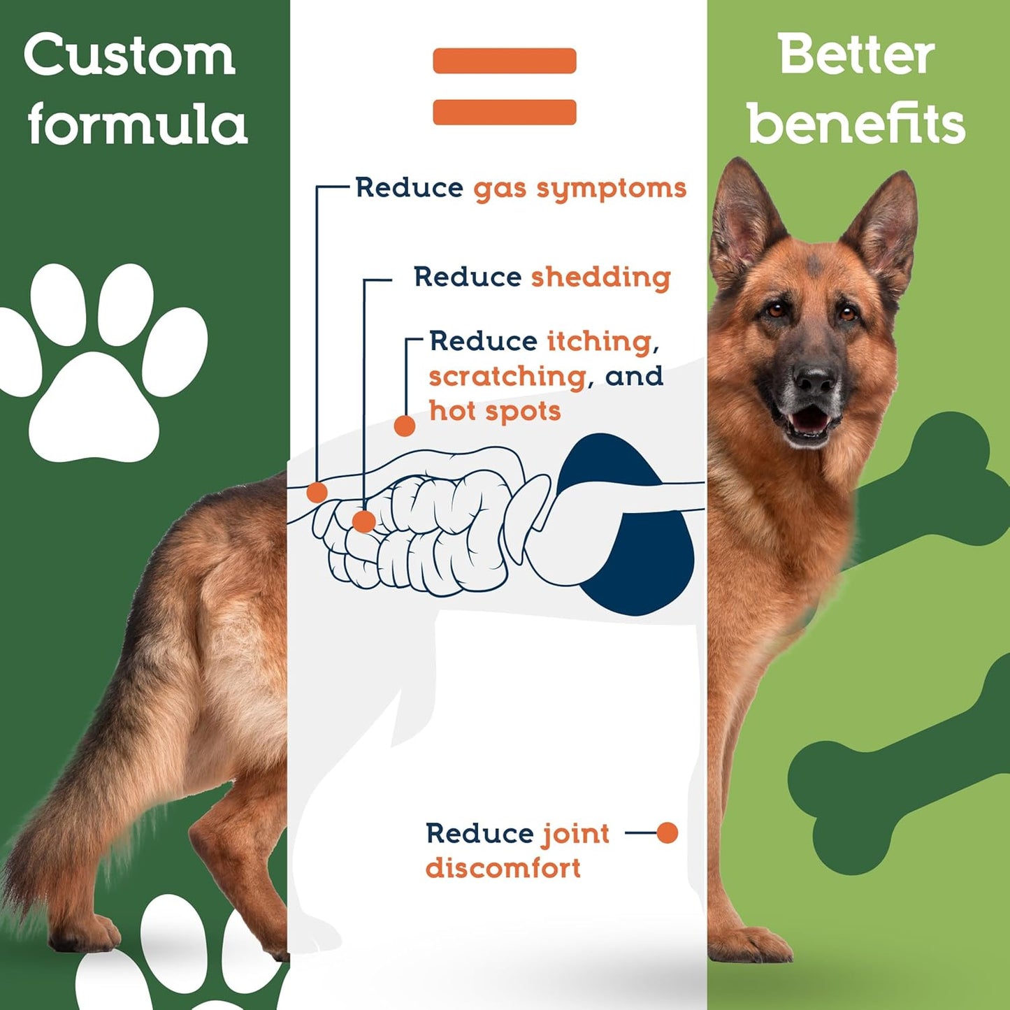 PetUltimates Probiotics for Dogs - 22 Species Dog Probiotics for Digestive Health & Antibiotic Recovery - Skin and Coat Supplement, Boosts Vitality - Dog Health Supplies (1 Pack)