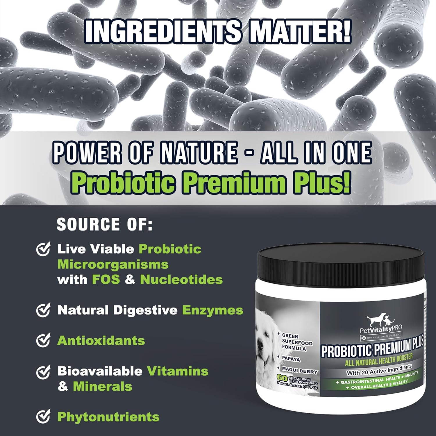 PetVitalityPRO Probiotic Soft Chews for Dogs with Digestive Enzymes - 4 Billion CFUs - Supports Gut Health and Immune System - 60 Count