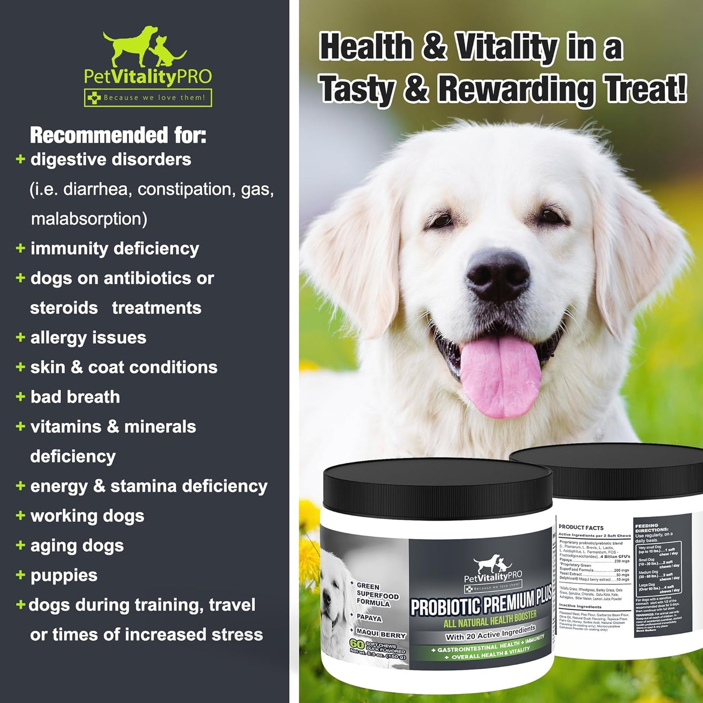 PetVitalityPRO Probiotic Soft Chews for Dogs with Digestive Enzymes - 4 Billion CFUs - Supports Gut Health and Immune System - 60 Count