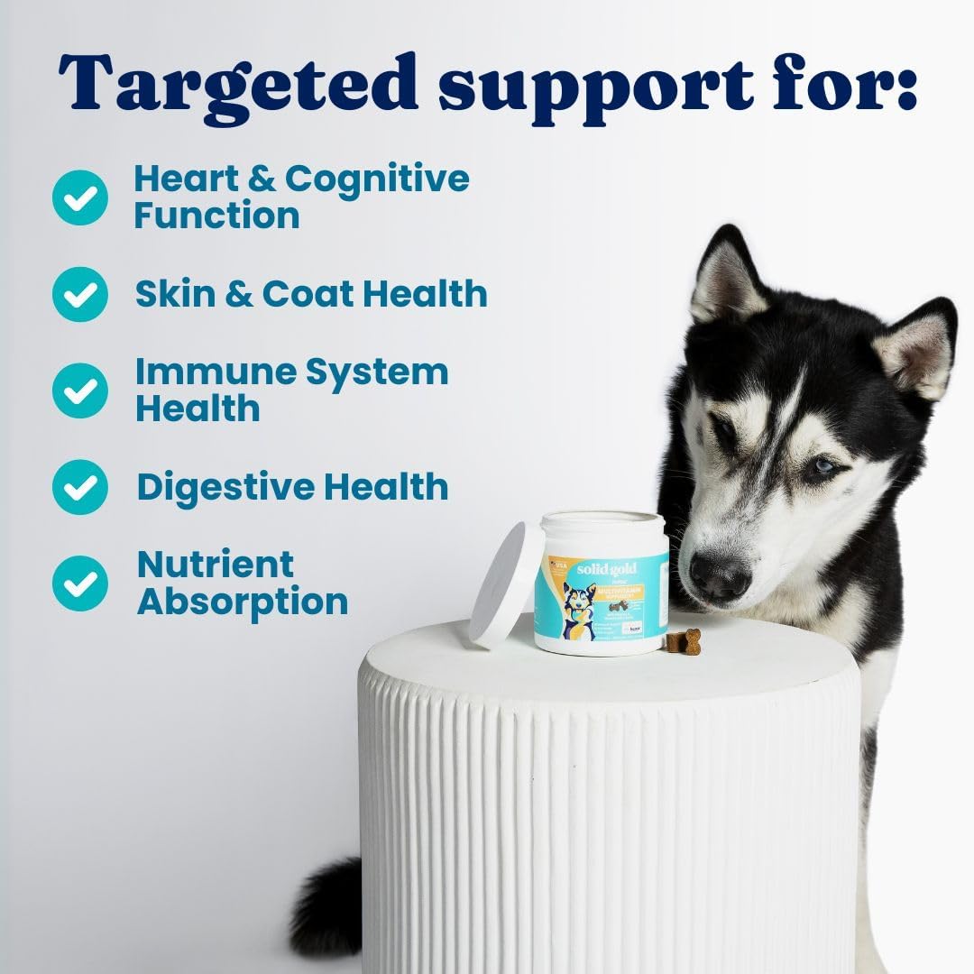 PetVites Solid Gold Multivitamin Chewable Supplement for Dogs - 120 Count - Vitamin C, A, B12, E, Probiotics, Antioxidants - Promotes Immune Health & Digestive Wellness