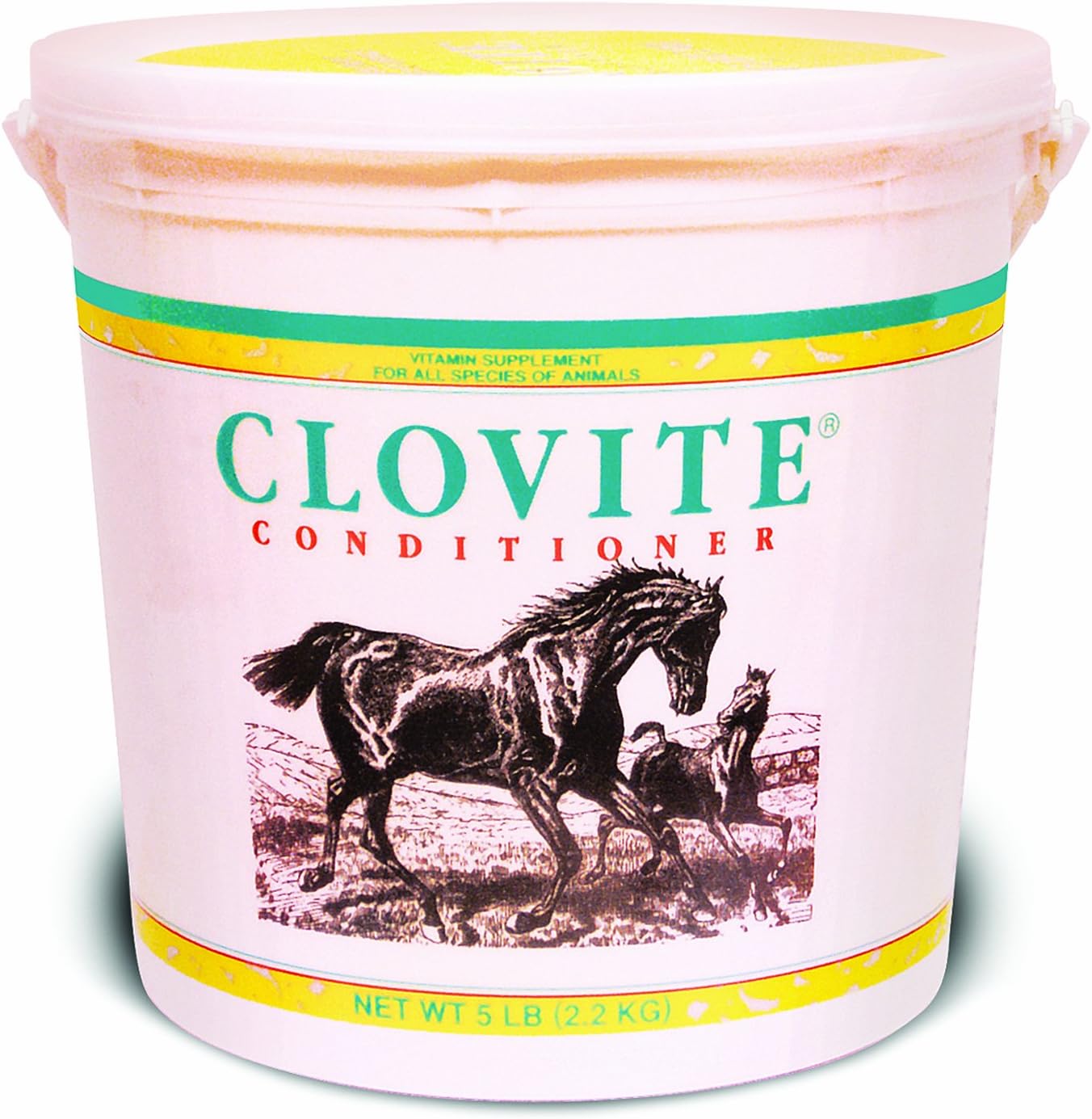 Pfizer Equine Clovite Vitamin Supplement - Essential Horse Nutrition for Health and Wellness