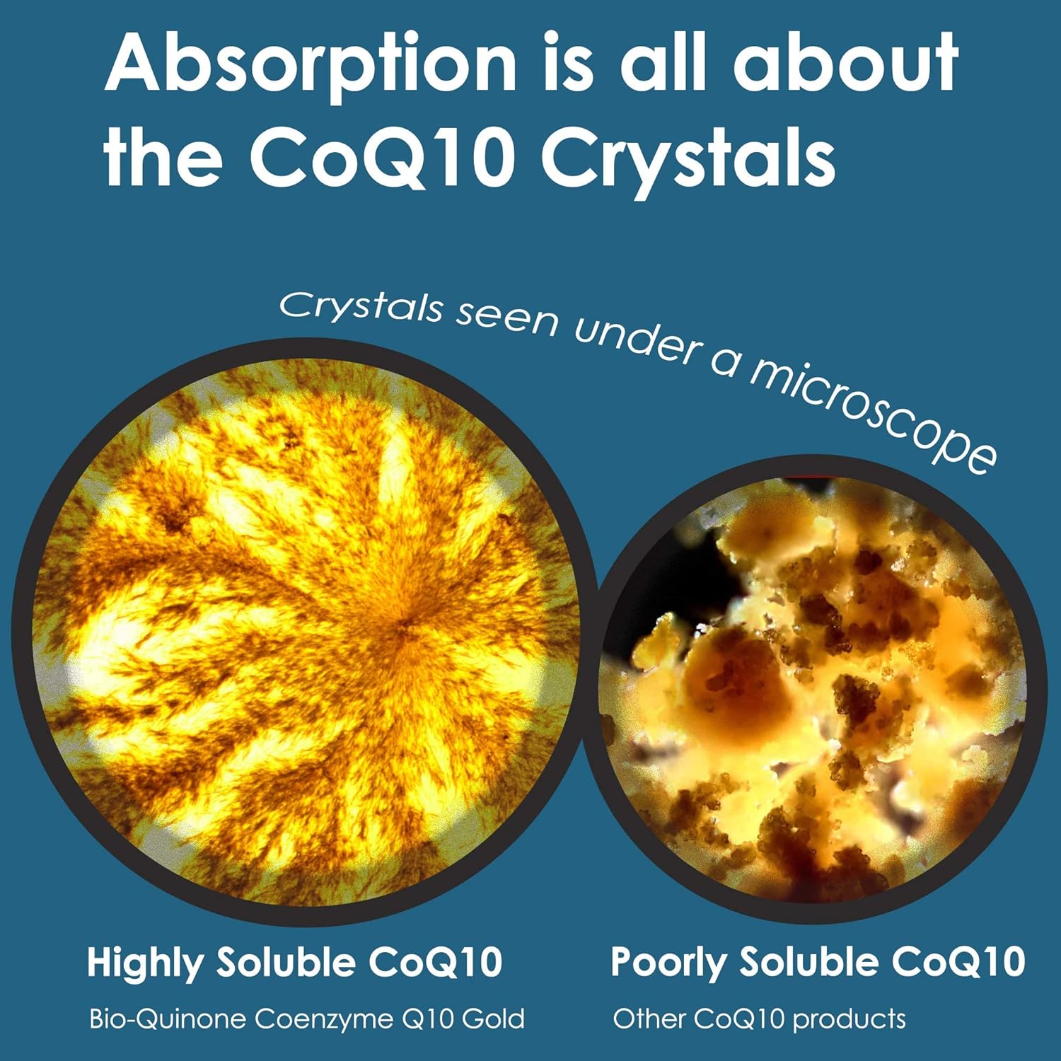 Pharma Nord Bio-Quinone Coenzyme Q10 100mg Softgels - High Absorption Antioxidant for Energy, Heart Health, and Fertility Support - 60 Count