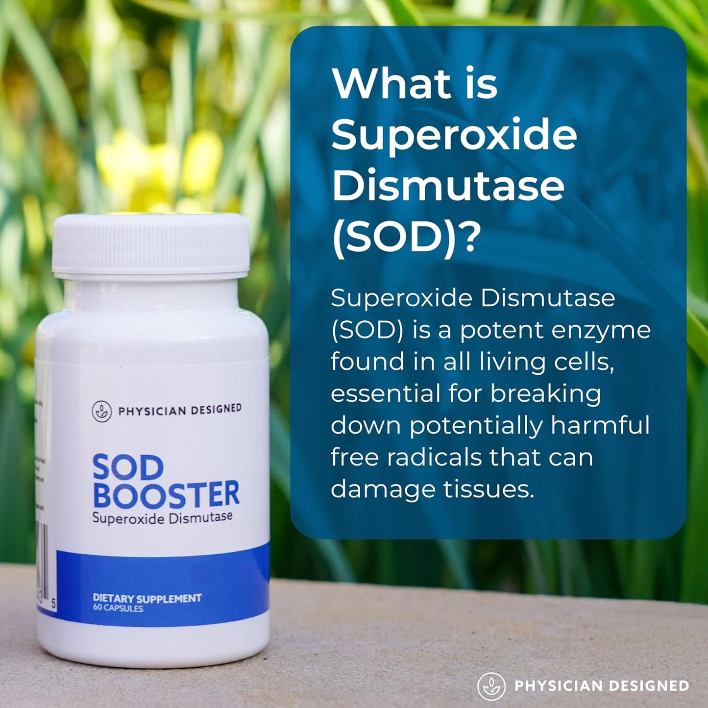 Physician Designed VARS SOD Booster - Antioxidant Supplement with Superoxide Dismutase | 60 Capsules