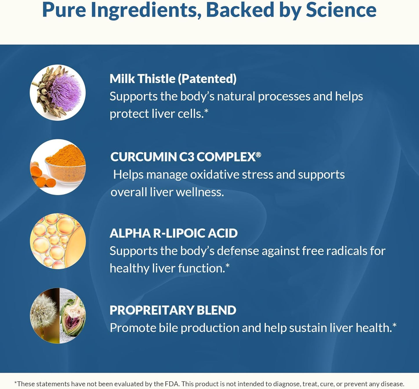Physician-Formulated Natural Liver Support with Milk Thistle & Curcumin - Detox, Repair, & Healthy Function - 12 Powerful Ingredients for Maximum Absorption