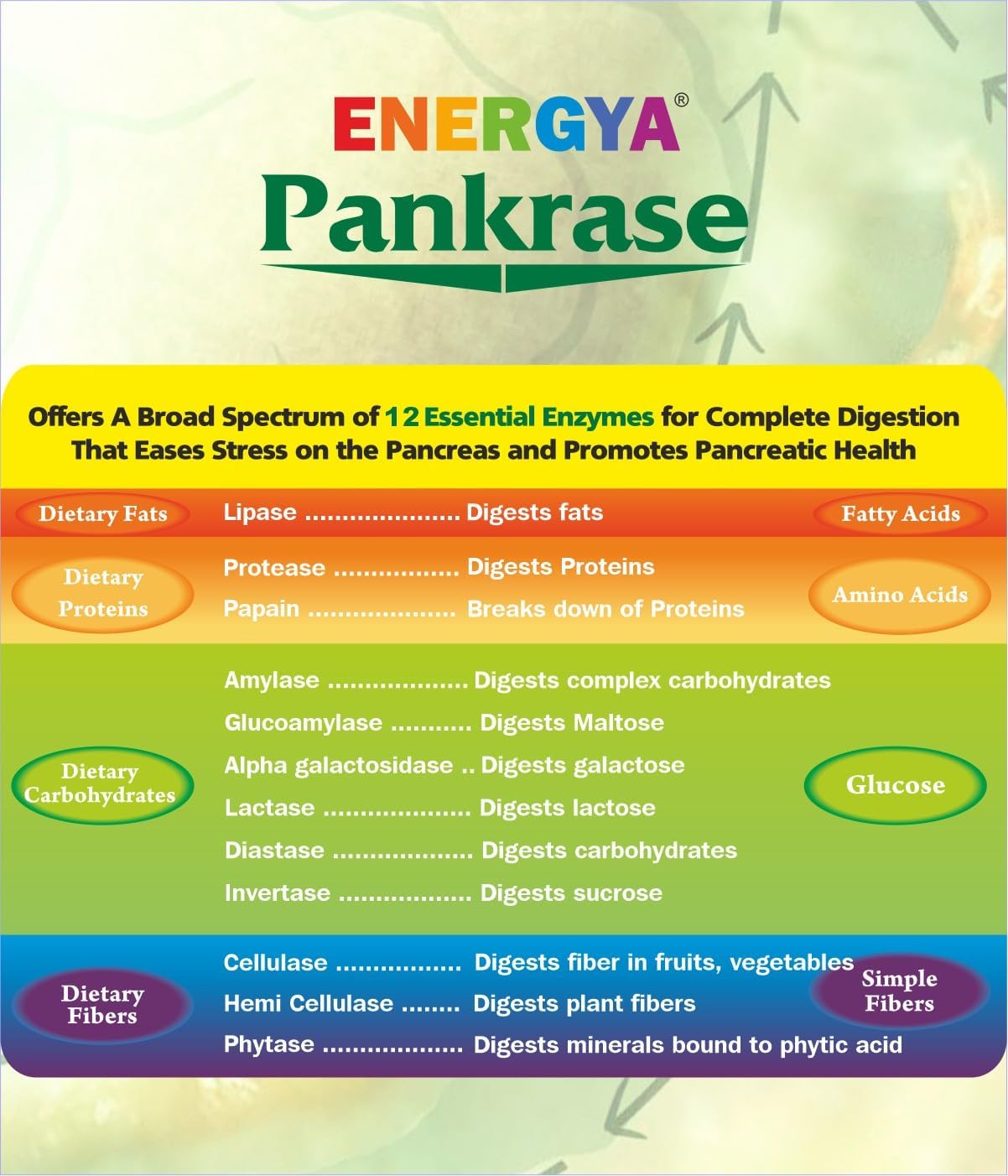 Physician Trusted Energya Pankrase: 12 Digestive Enzymes for Gas, Bloating, Enhanced Digestion & Nutrient Absorption | Advanced Processing for Enzyme Action