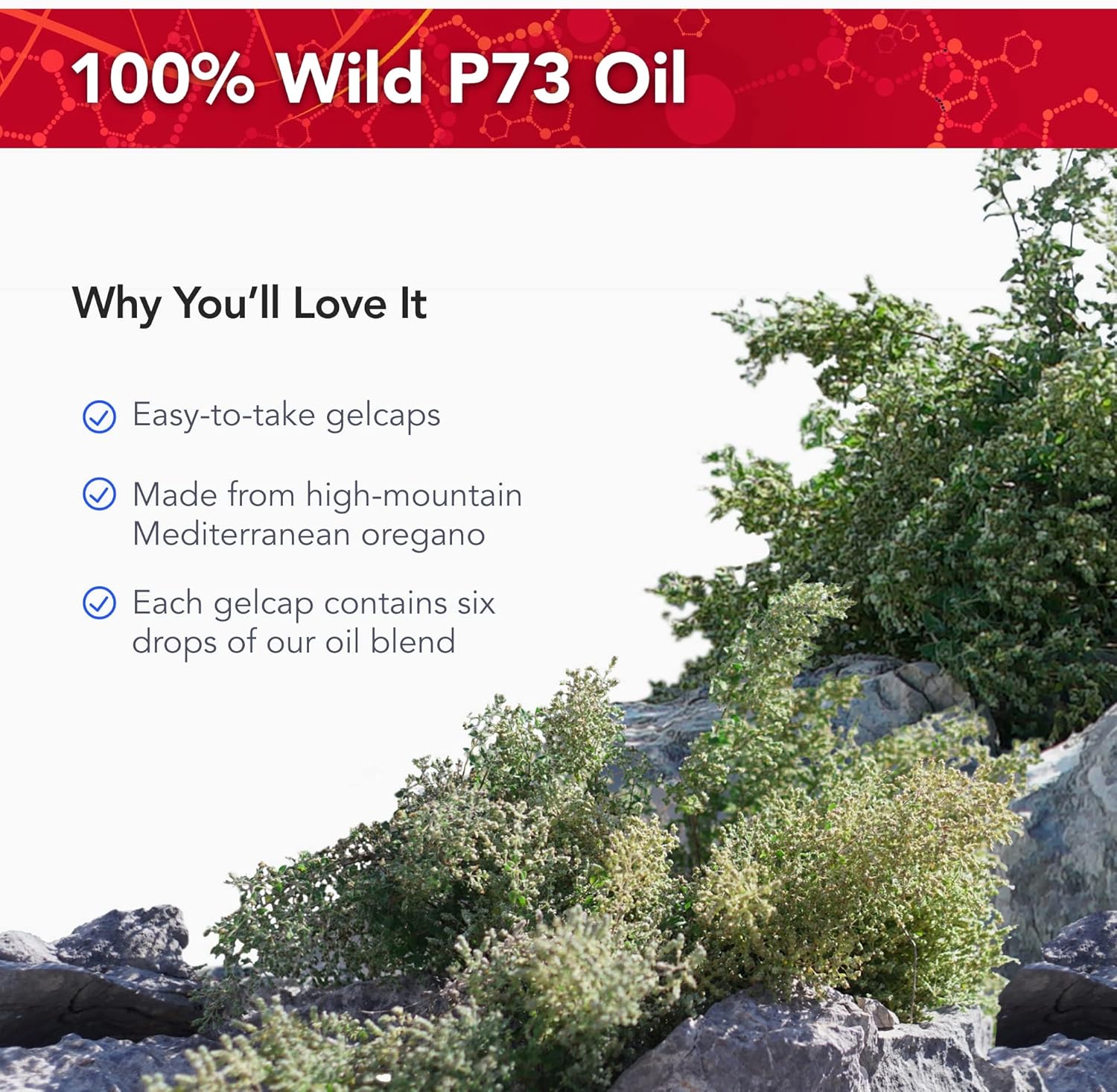 Physician's Strength Wild Oil of Oregano Gelcaps - Non-GMO - 60 Servings - 60 Count