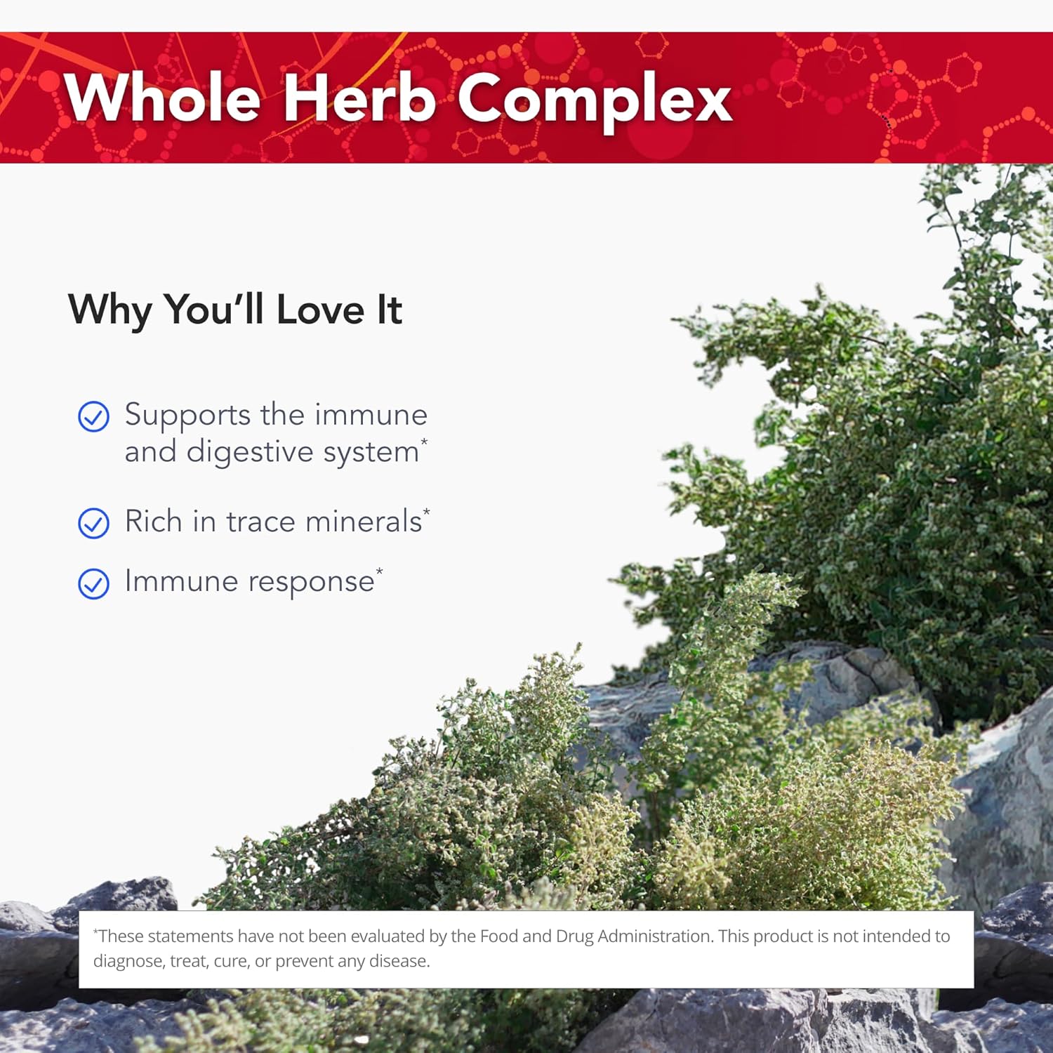 Physician's Strength Wild Oregano-Plus Capsules - 90 Count - Supports Immune System, Digestion, Bones, and Joints - Non-GMO - 90 Servings