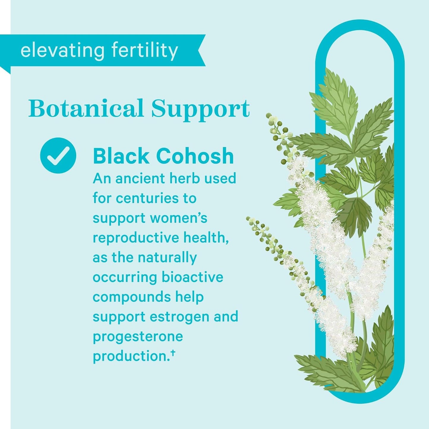 Pink Stork Black Cohosh Capsules - Hormone Balance & Fertility Support - Period, Ovulation, Mood Boost - 30 Capsules, 540 mg