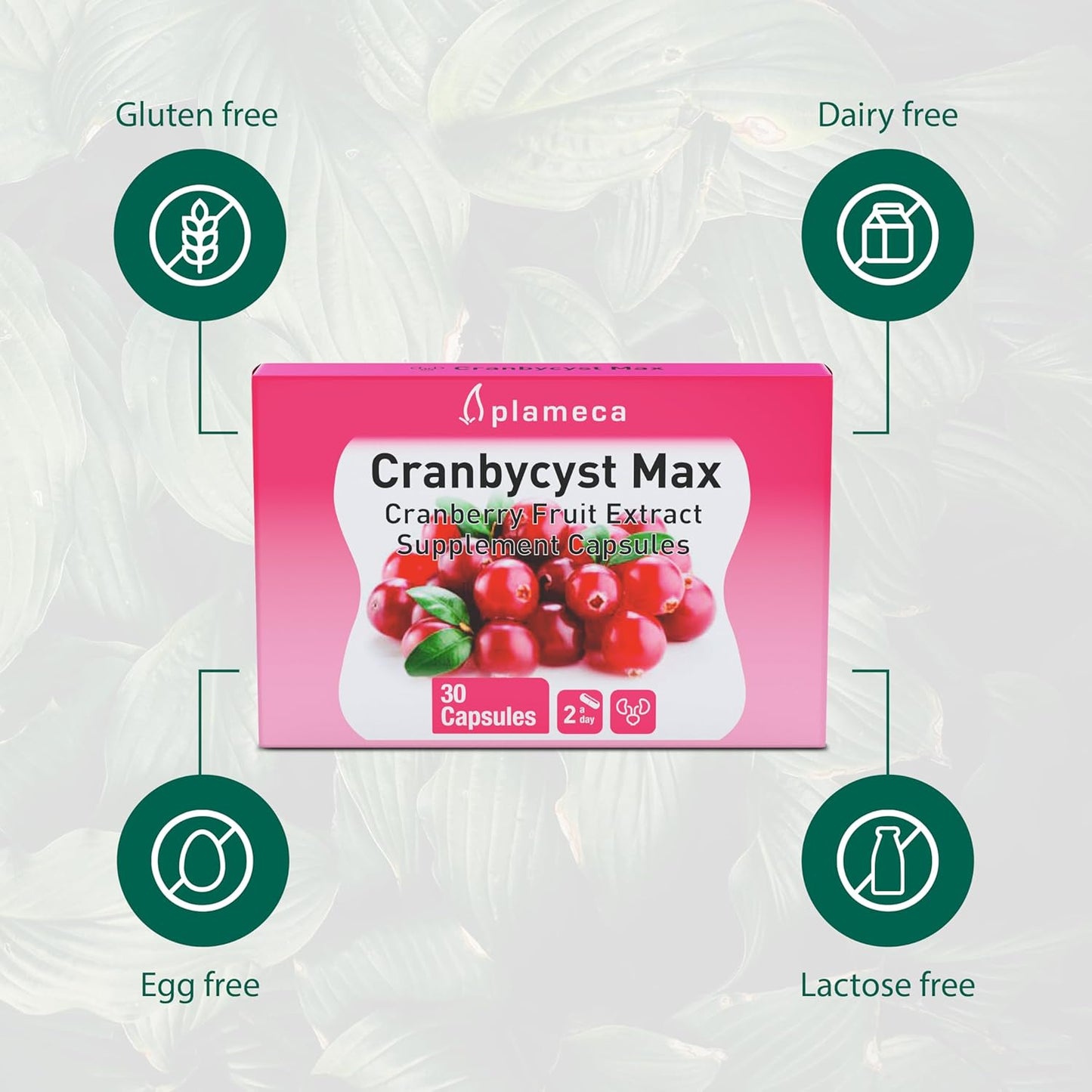 Plameca Cranbycyst Max: Urinary Tract Health Support with Cranberry Fruit Extract and Vitamin C - 30 Capsules