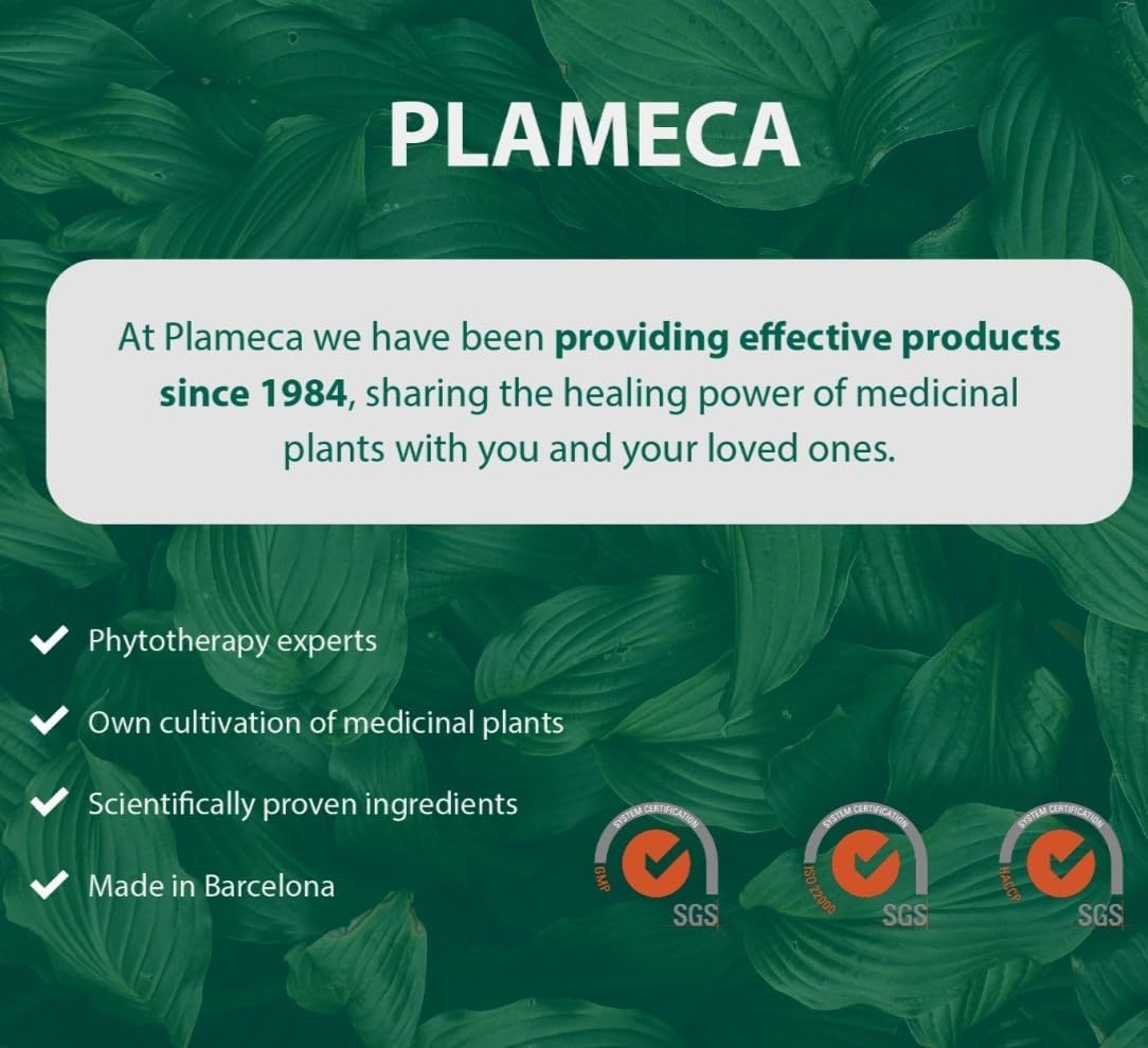 Plameca Cranbycyst Max: Urinary Tract Health Support with Cranberry Fruit Extract and Vitamin C - 30 Capsules