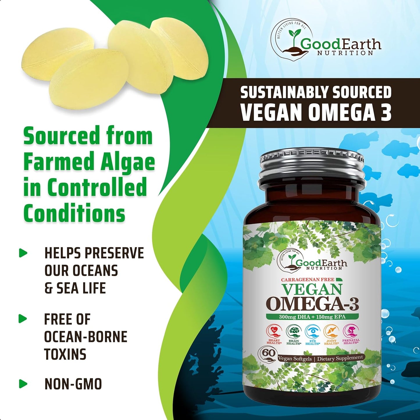 Plant Based Algal DHA/EPA Softgels - Vegan Omega 3 Supplement for Brain, Heart, Joints & Prenatal Health - Carrageenan Free - 60 Capsules