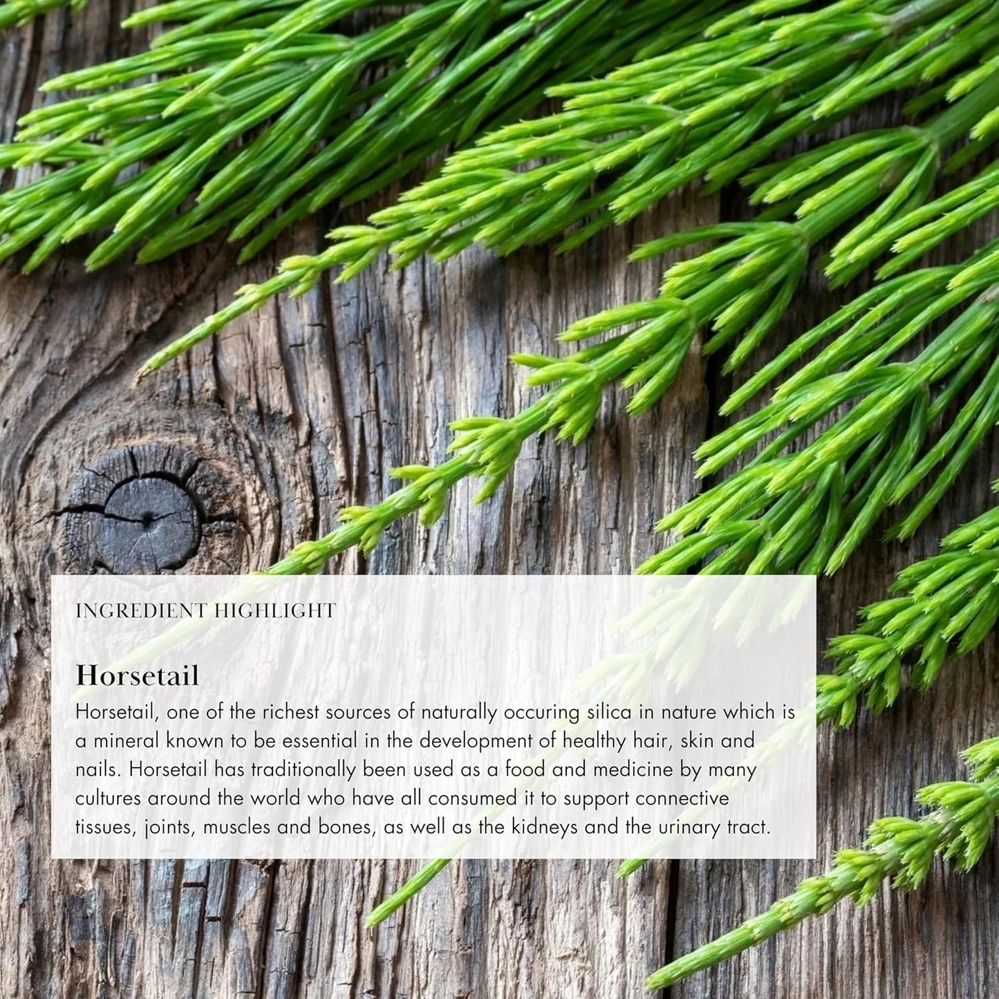 Plant-Based Anima Mundi Apothecary Vegan Collagen Powder - Organic Collagen & Keratin Booster for Skin, Hair, Joints, Bones - 4oz/113g