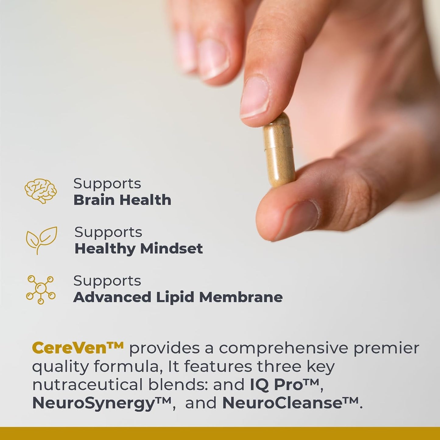 Plant-Based Brain Support Supplement with Rhodiola, Marine Coral, and Turmeric - 60 Capsules