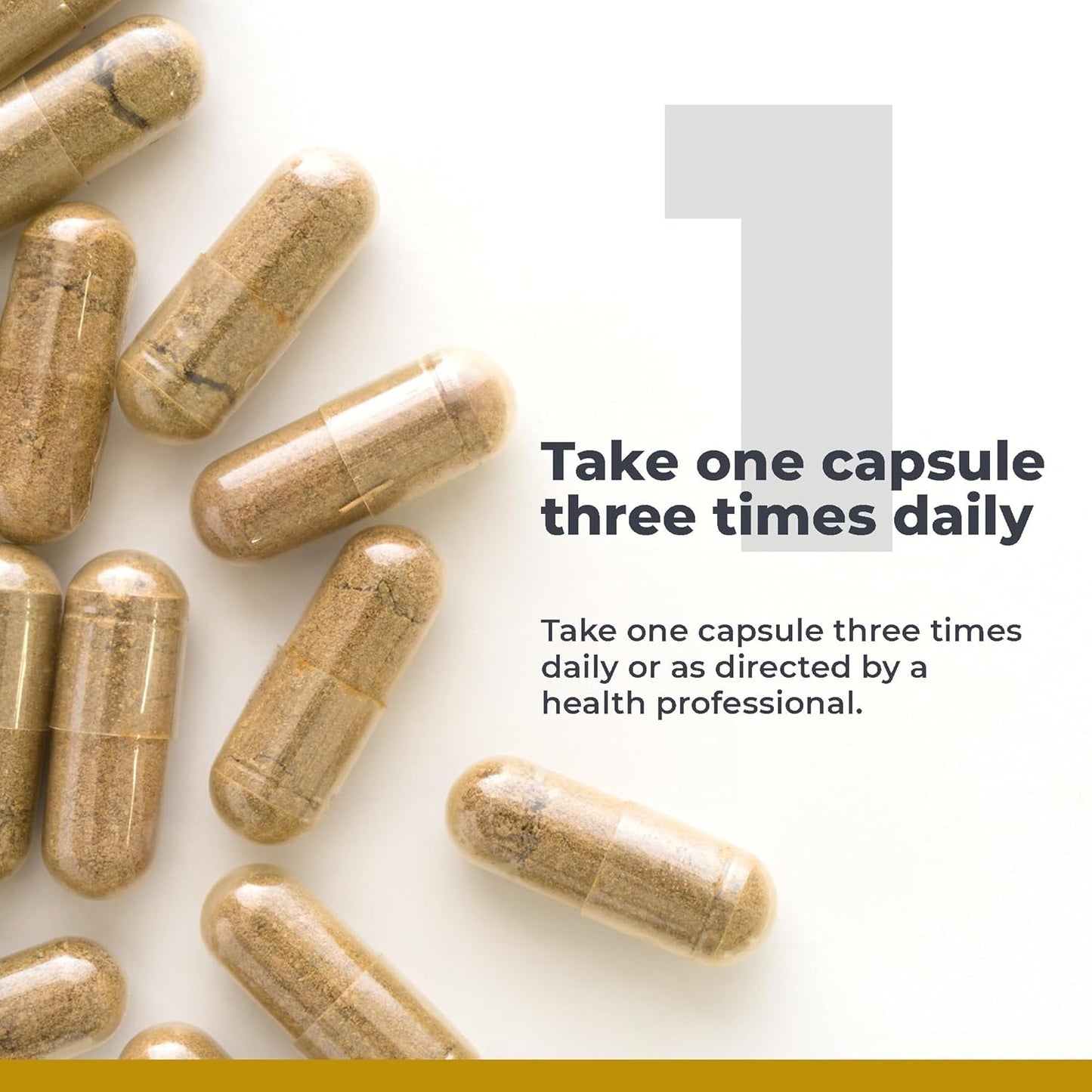 Plant-Based Brain Support Supplement with Rhodiola, Marine Coral, and Turmeric - 60 Capsules