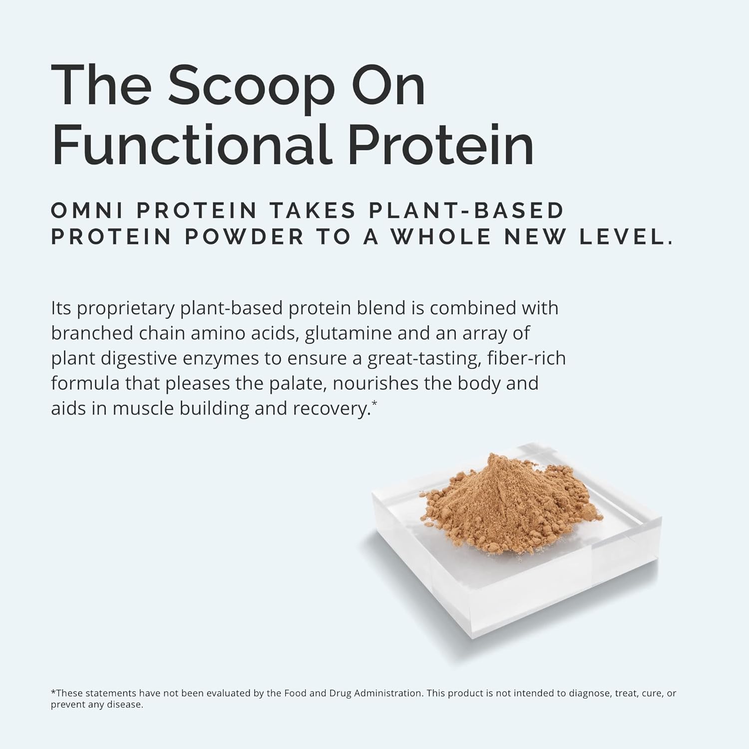 Plant-Based Chocolate Protein Powder for Energy & Recovery - 2.38 lbs - Vegan, Vegetarian, Sugar & Gluten Free - 30 Servings