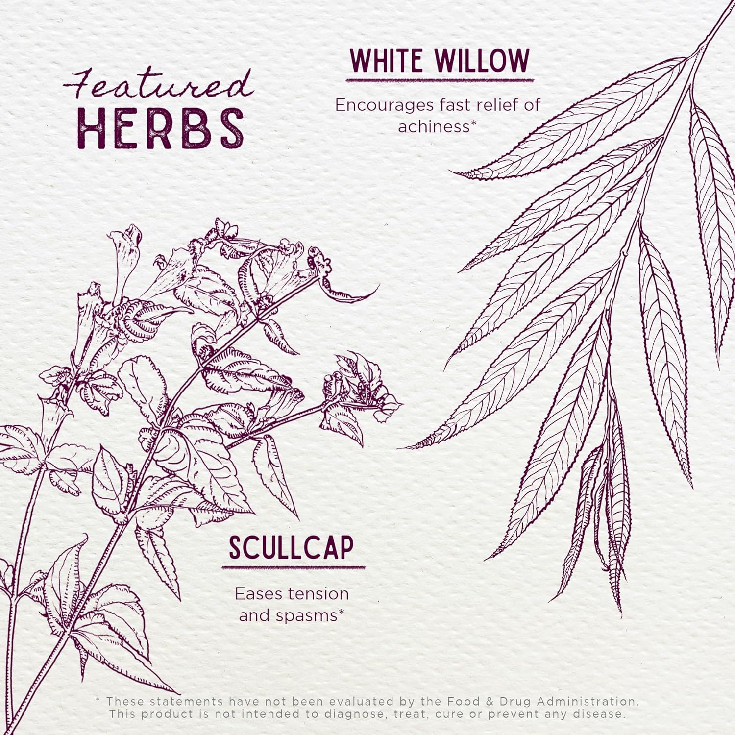 Plant-Based Cranial Comfort Herbal Supplement for Head, Neck & Shoulder Tension Relief - 2oz Bottle with White Willow Bark, Lavender, and Scullcap Extracts