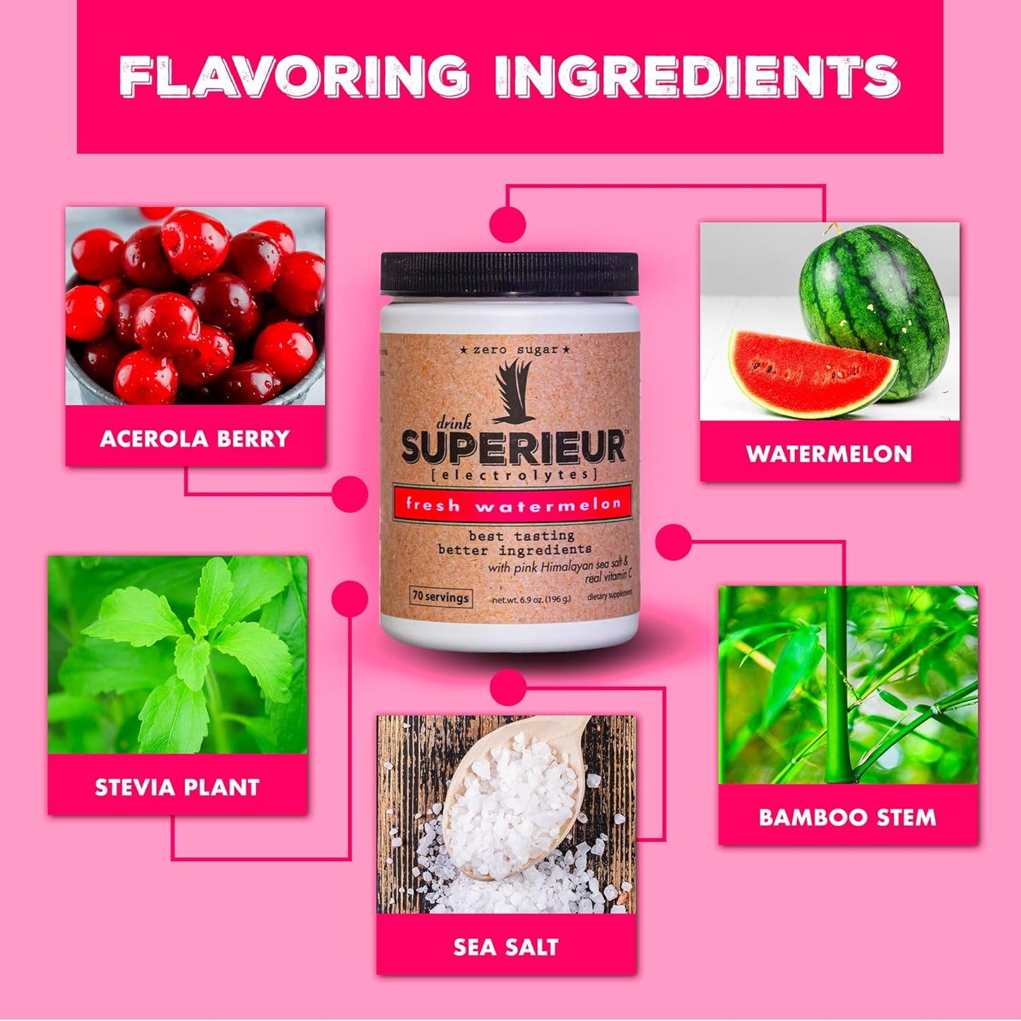 Plant-Based Electrolyte Supplement with Sea Minerals for Hydration & Recovery - Keto Friendly, Non-GMO, Vegan Sports Drink Powder - Watermelon Flavor (70 Servings)