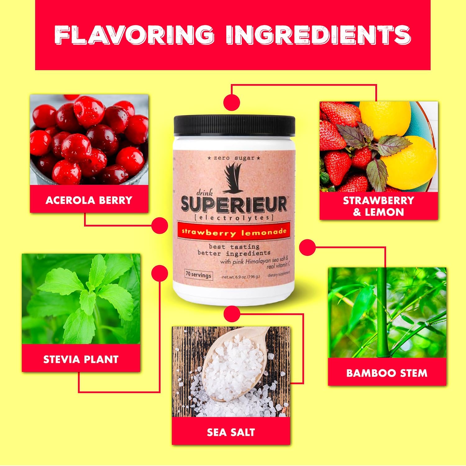 Plant-Based Electrolyte Supplement with Sea Minerals for Hydration & Recovery - Keto Friendly, Non-GMO, Vegan Healthy Sports Drink Powder - Strawberry Lemon Flavor (70 Servings)