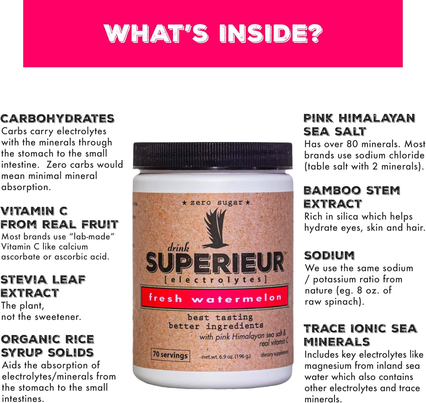 Plant-Based Electrolyte Supplement with Sea Minerals for Hydration & Recovery - Keto Friendly, Non-GMO, Vegan Sports Drink Powder - Watermelon Flavor (70 Servings)