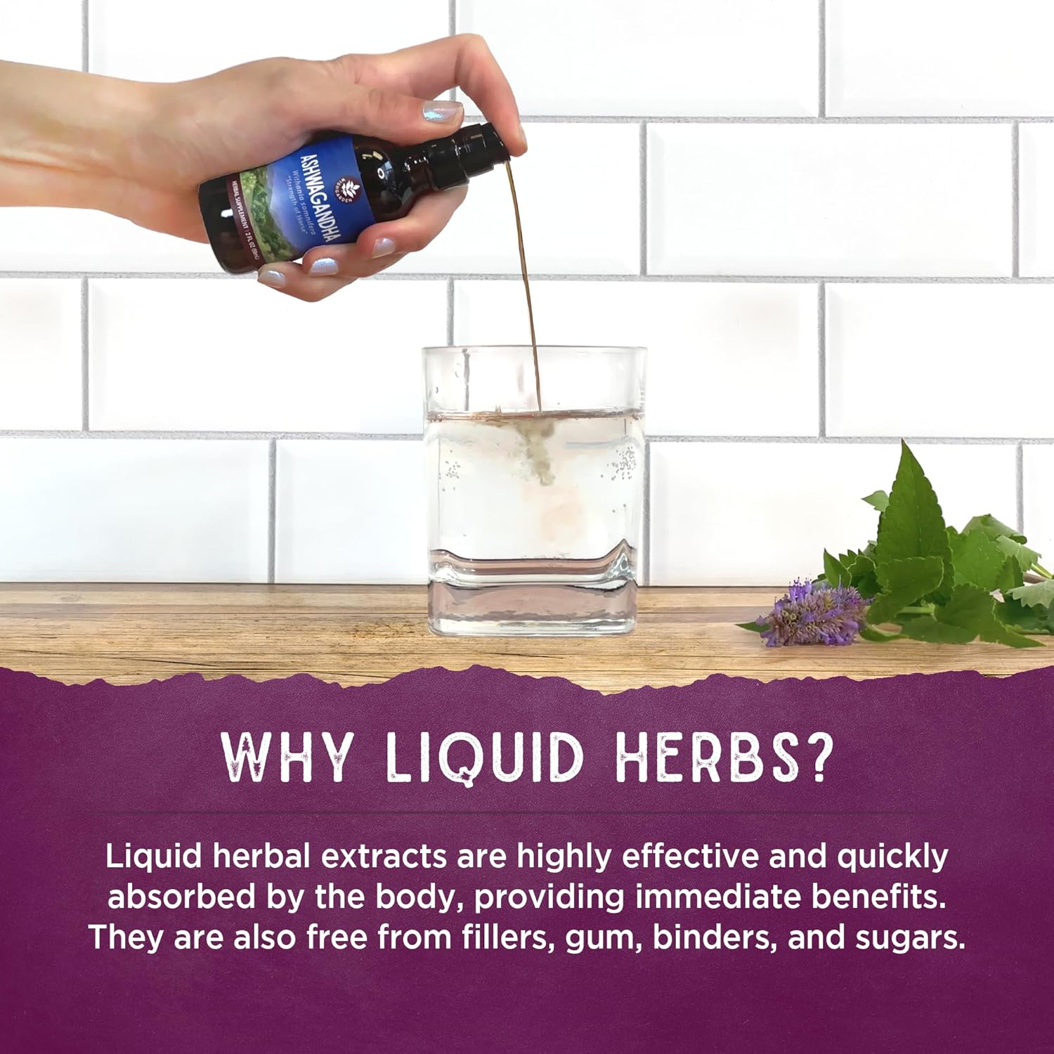 Plant-Based Liver Support Tonic with Burdock, Dandelion Root & Yellow Dock - Liver Cleanse and Detox Supplement for Healthy Liver Function - 2oz