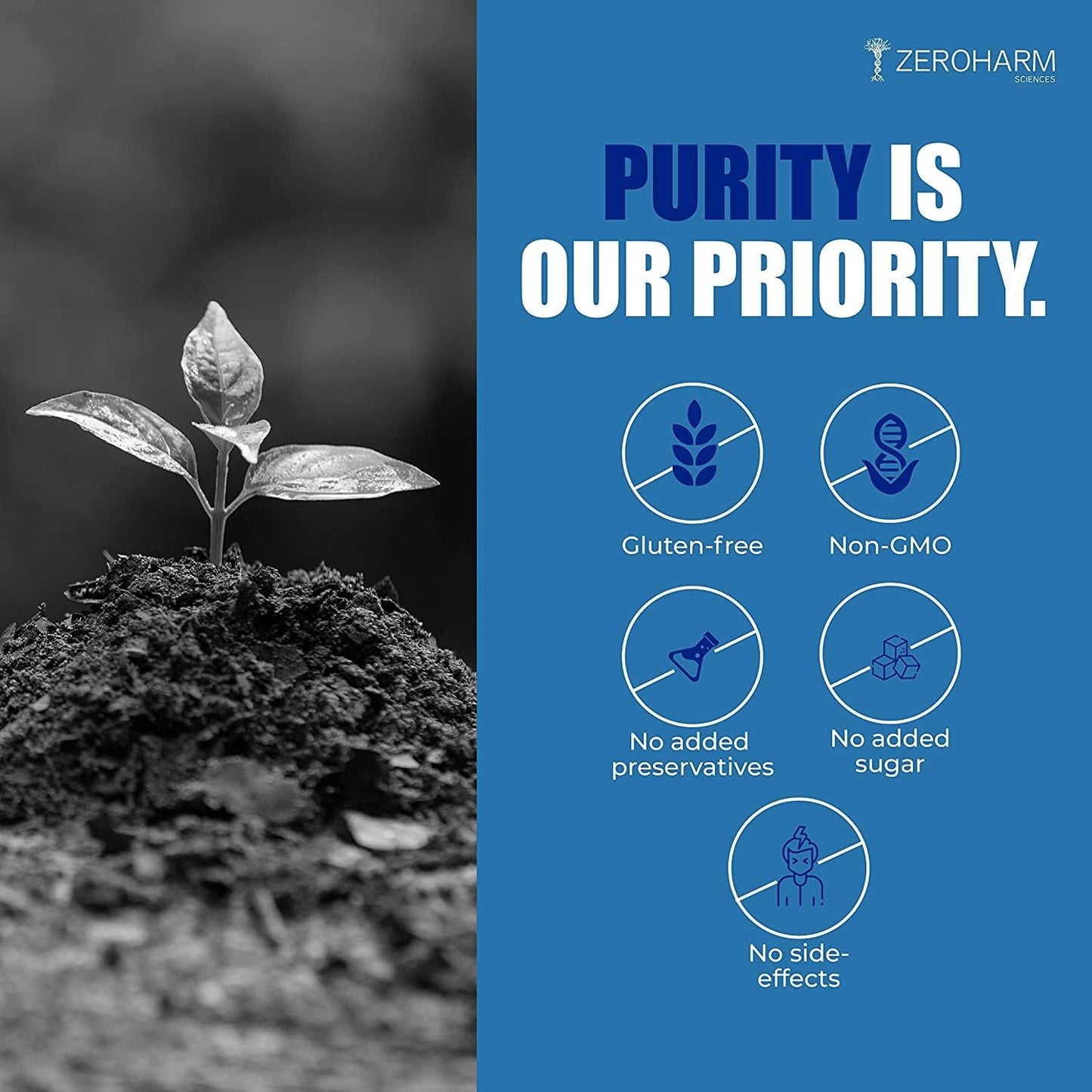 Plant-Based Nutranix Iron Folic Zinc Tablets for Anemia, Energy, Strength, Brain Function, and Athletic Performance