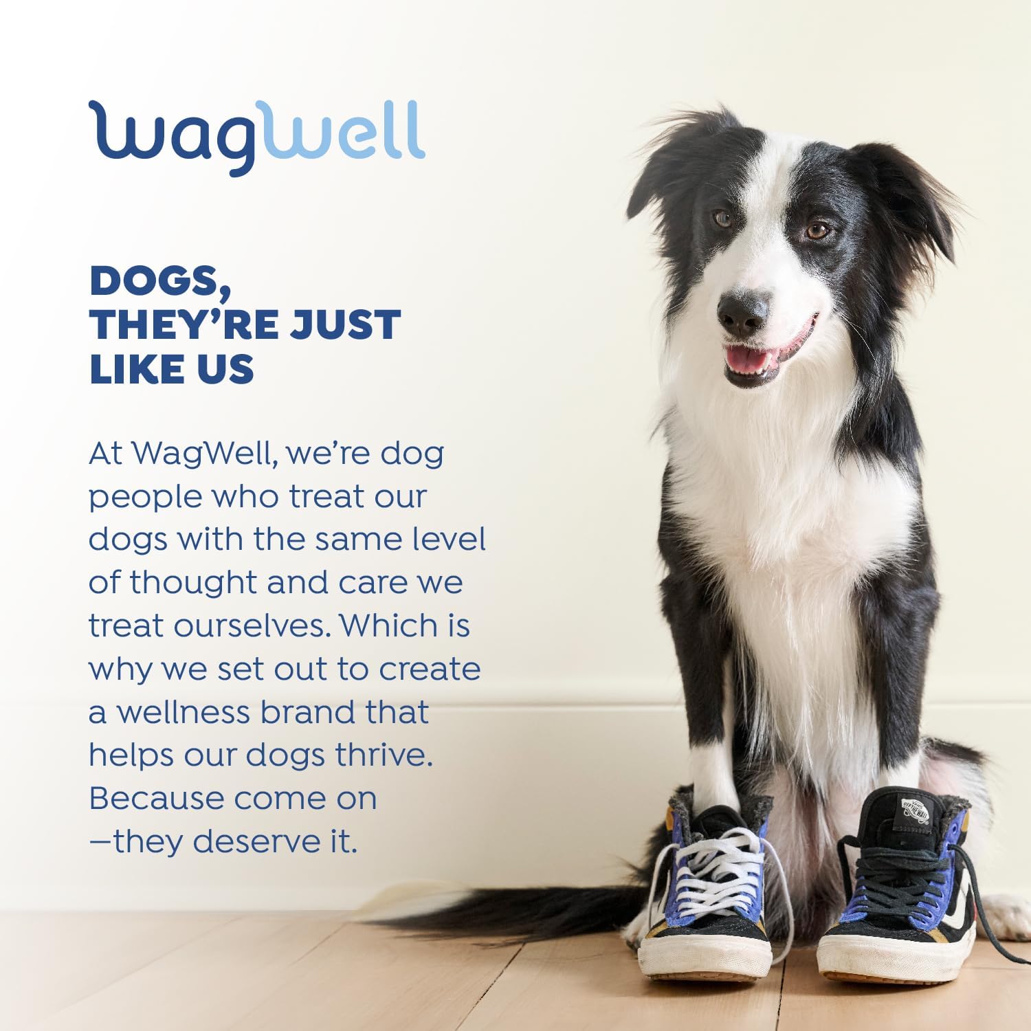 Plant-Based Omega 3, 6 & 9 Supplement for Dogs - Vet-Formulated Skin, Coat, Hip & Joint - Natural Non-GMO Omega Oil - 8 fl.oz.