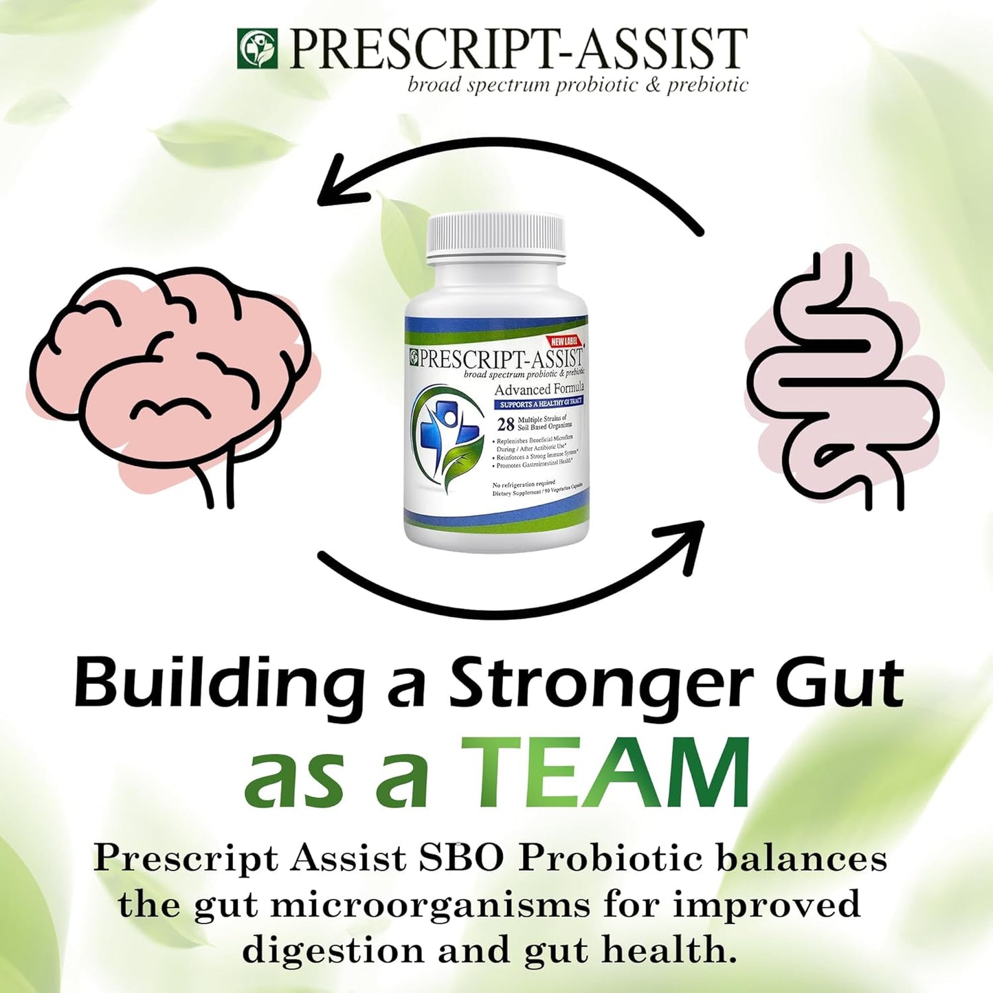 Plant-Based Prebiotics & Probiotics with Pea Protein - 28 Strains Soil Microflora for Digestive & Immune Health - Vegan Support for Muscle Recovery - 90 Capsules