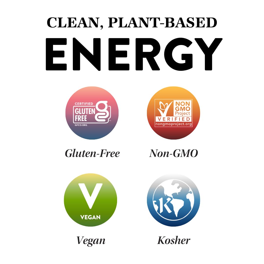 Plant Based Protein Puck Bars Variety Pack - 16 Count, 3.25 oz Gluten Free Vegan Snacks, Non GMO Kosher Certified