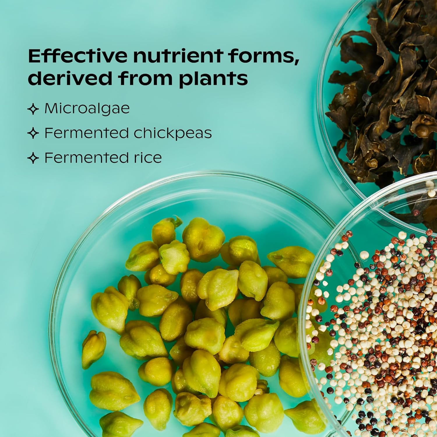 Plant-Based Vegan Multivitamin with Omega-3 DHA/EPA, Vitamin D, B12, Zinc, K2, Iron, Iodine, Selenium - 60 Count (30-Day Supply) - Compostable Refill