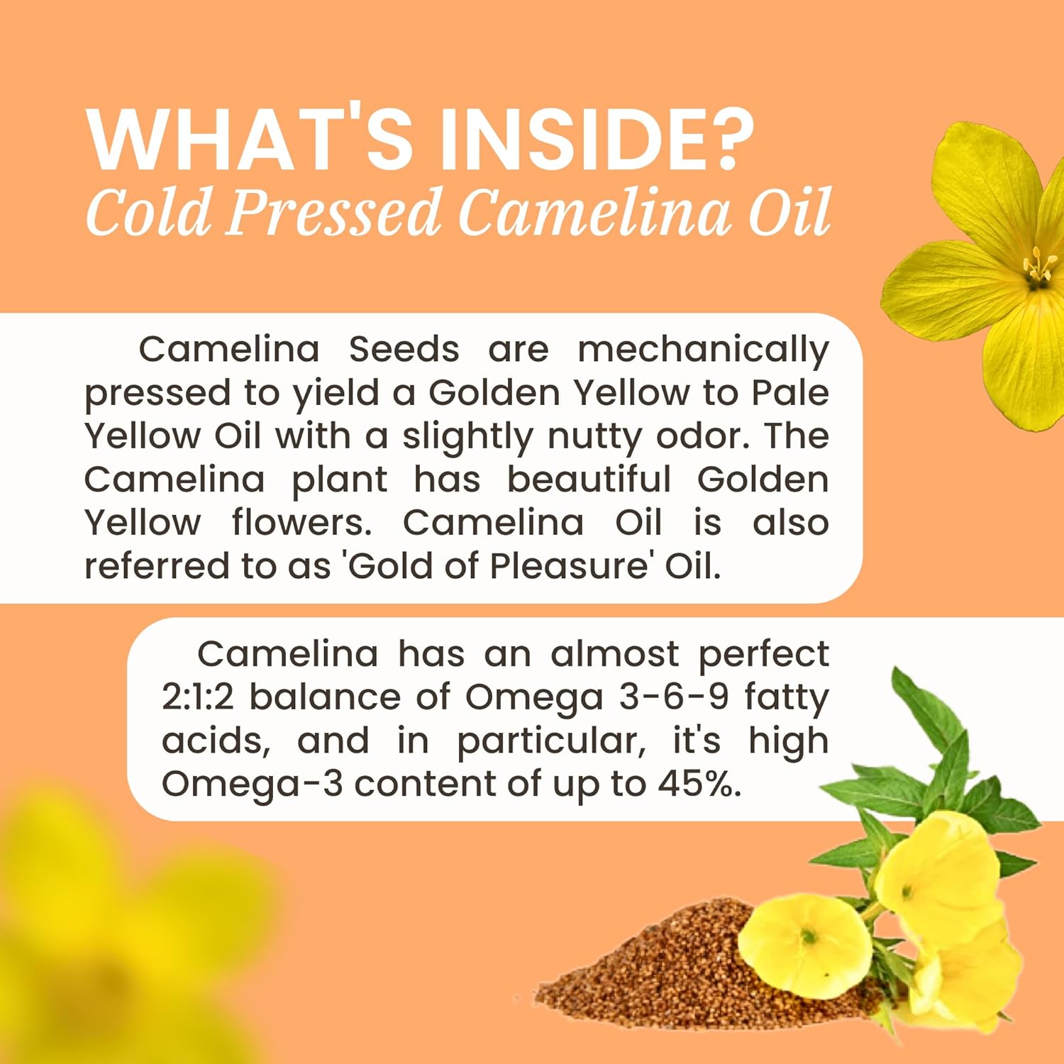 Plant Based Zippi Omega 3-6-7-9 Softgels for Brain, Liver, Cardiovascular, Immunity, and Joint Support