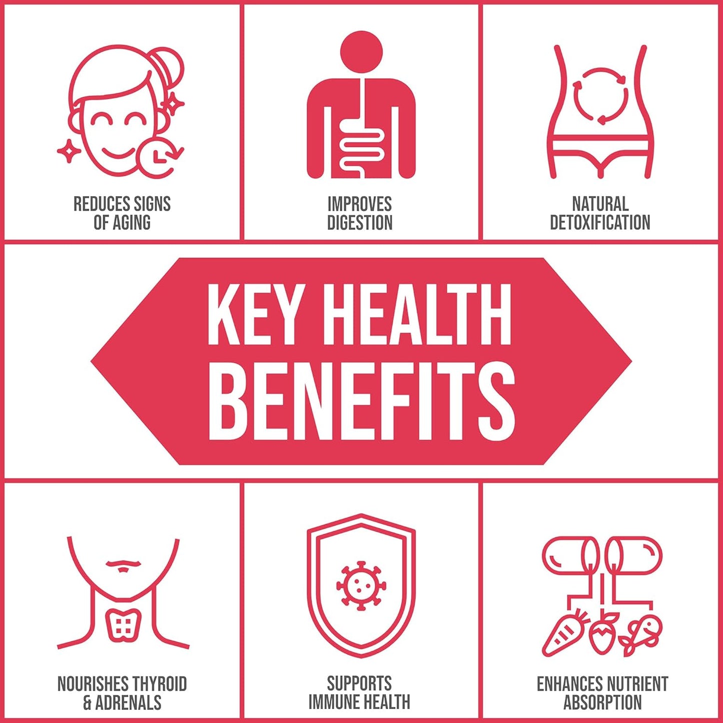 Plant-Derived Trace Mineral Liquid Supplement for Immune Support | Fast-Absorbing Electrolyte Solution | Body Ecology Ancient Earth Liquid Minerals | 60 Servings