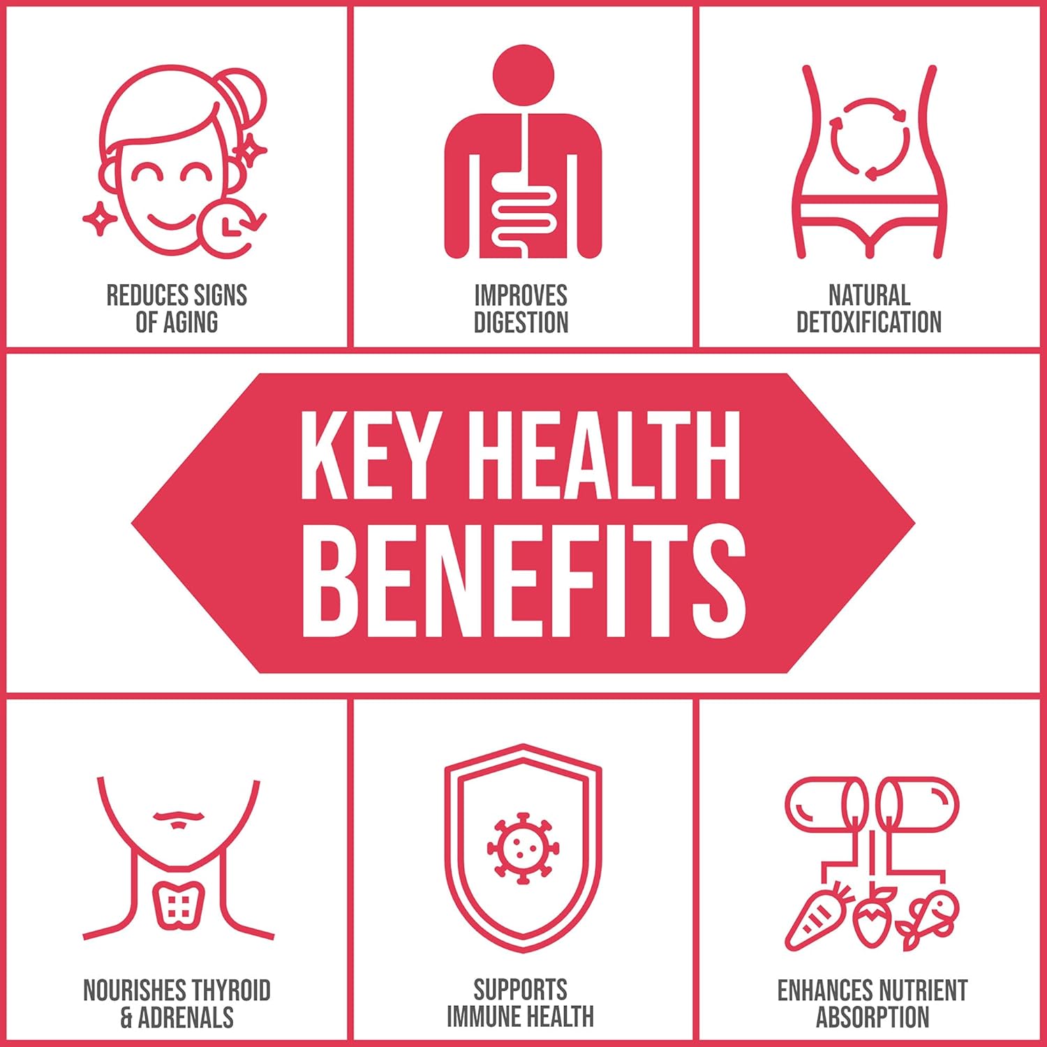 Plant-Derived Trace Mineral Liquid Supplement for Immune Support | Fast-Absorbing Electrolyte Solution | Body Ecology Ancient Earth Liquid Minerals | 60 Servings