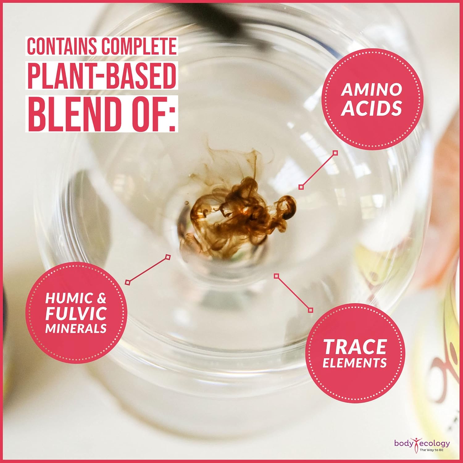 Plant-Derived Trace Mineral Liquid Supplement for Immune Support | Fast-Absorbing Electrolyte Solution | Body Ecology Ancient Earth Liquid Minerals | 60 Servings