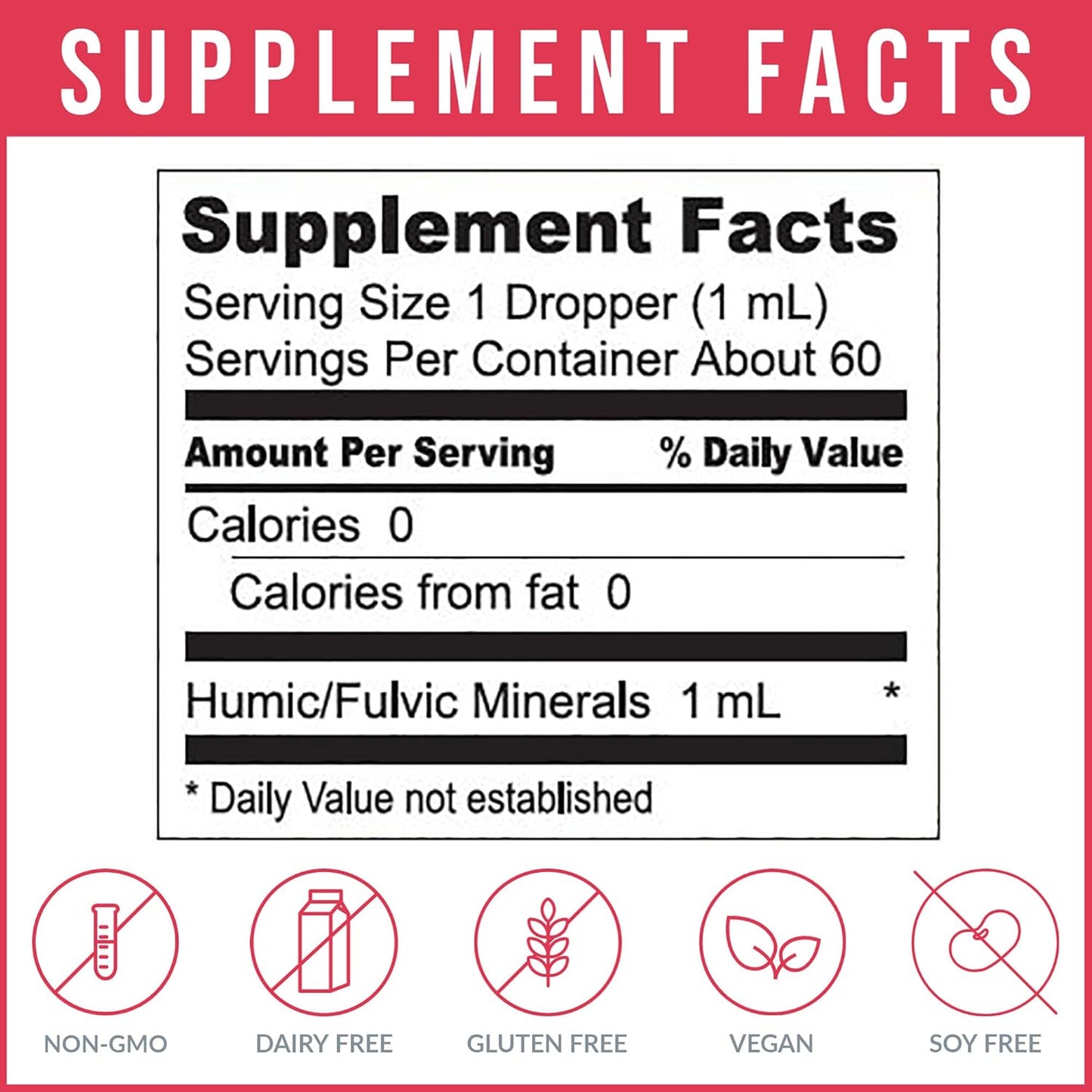 Plant-Derived Trace Mineral Liquid Supplement for Immune Support | Fast-Absorbing Electrolyte Solution | Body Ecology Ancient Earth Liquid Minerals | 60 Servings
