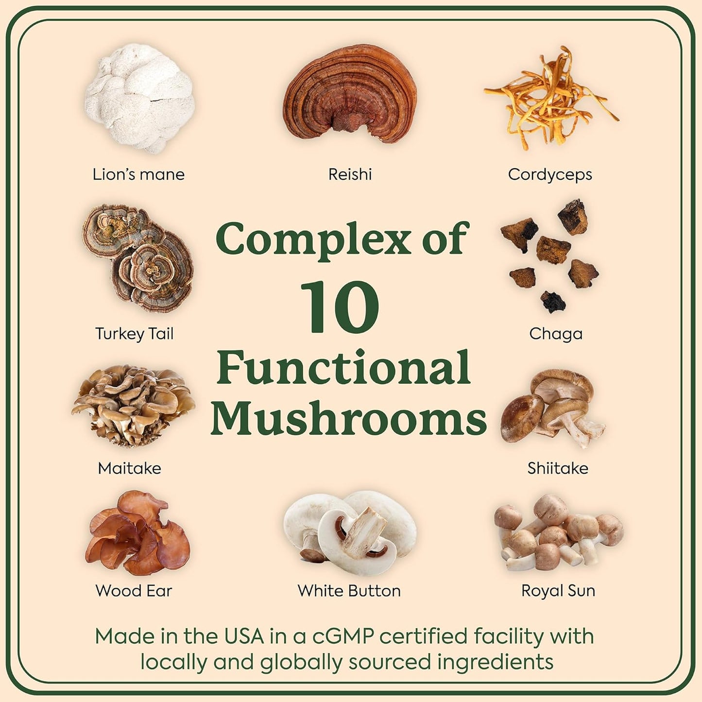 Plant People WonderDay Mushroom Gummies Mini: Daily Support for Body Balance, Mood, Energy, Immune & Gut Health - Vegan, Non-GMO (Trial Size)