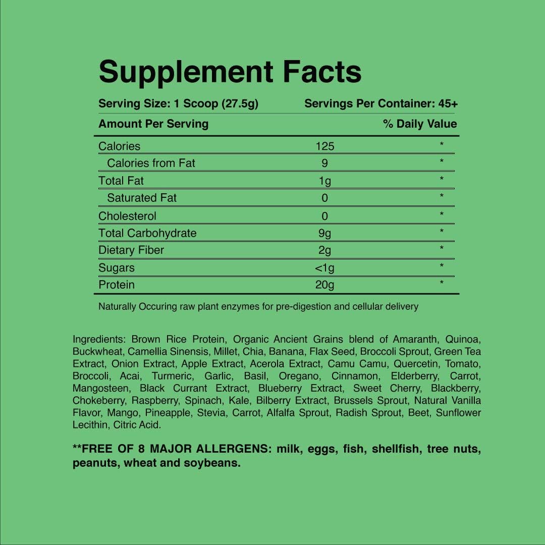 Plant Powered Protein for Gains in Bulk - GIB Raw Vegan Protein, 2.6 lbs