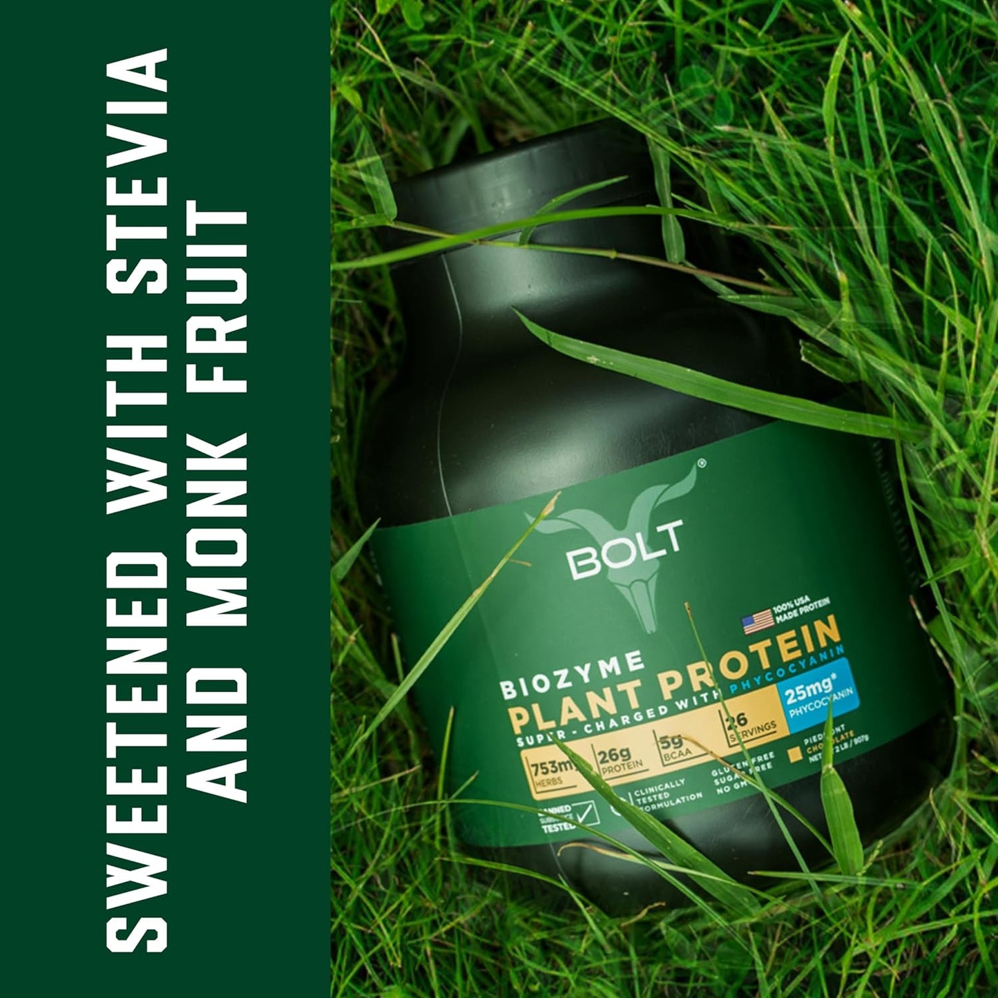 Plant Protein with Superfood PHYCOCYANIN & Ayurvedic Herbs for Muscle Support & Recovery, Madagascar Vanilla, 2Lb