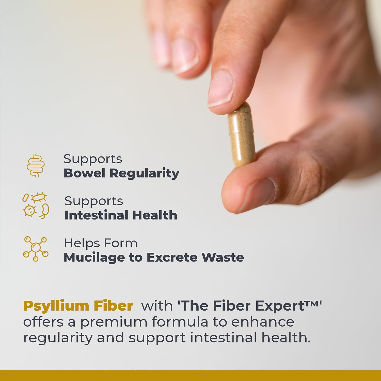 Plant-Source Psyllium Fiber Supplement for Digestive Gut Health - Supports Regularity and Intestinal Health - 180 Capsules